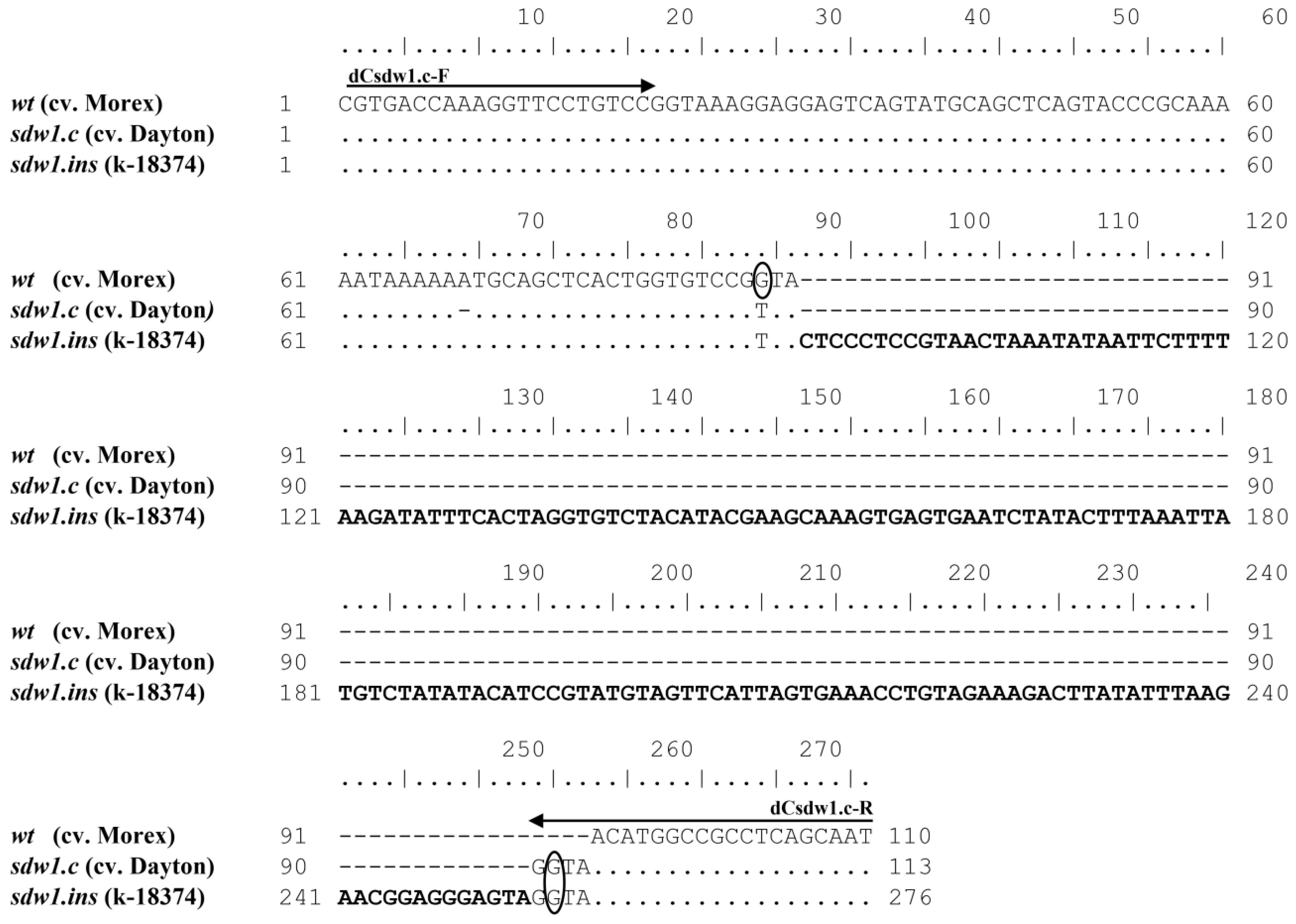 Plants 13 00376 g006