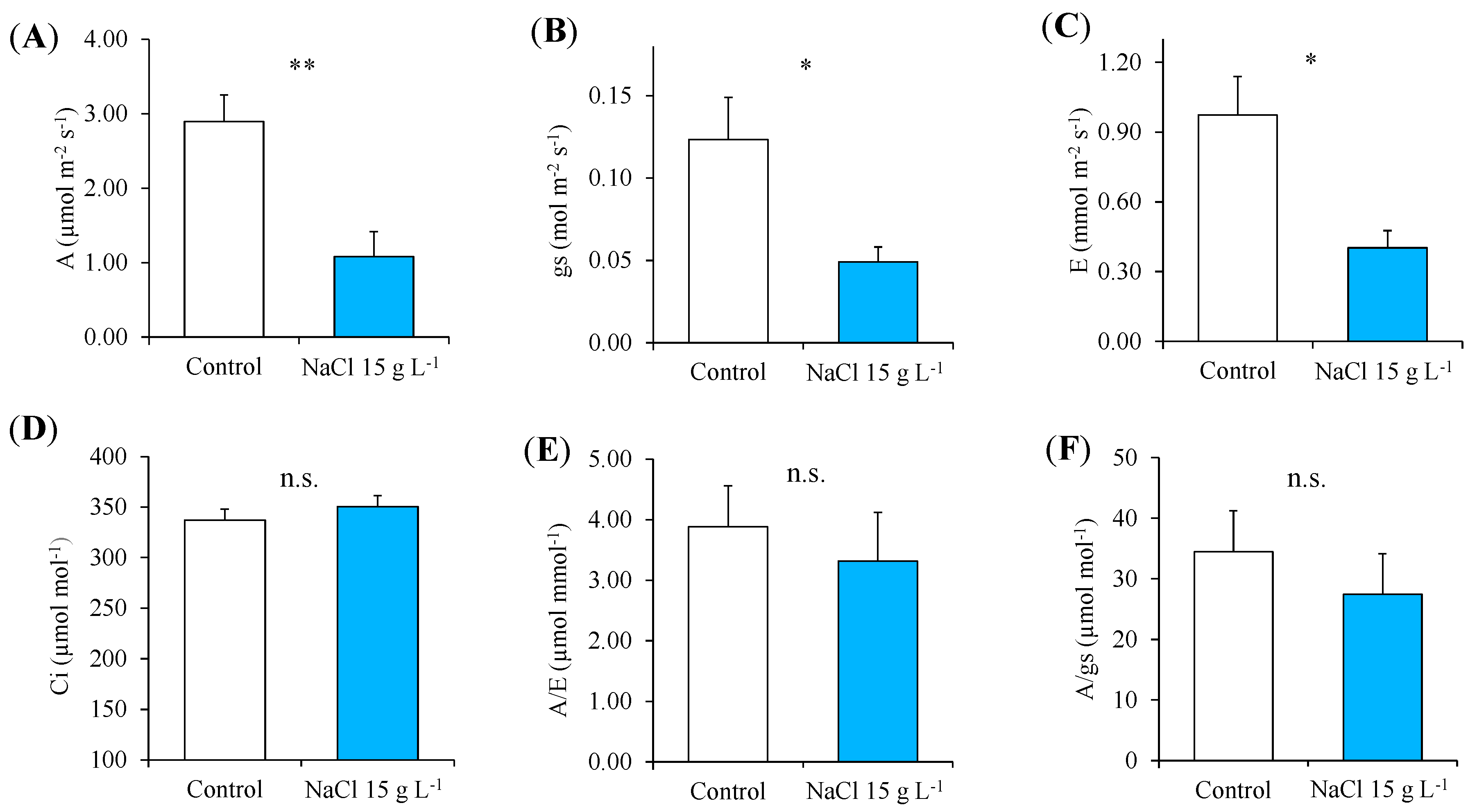 Plants 13 00378 g004