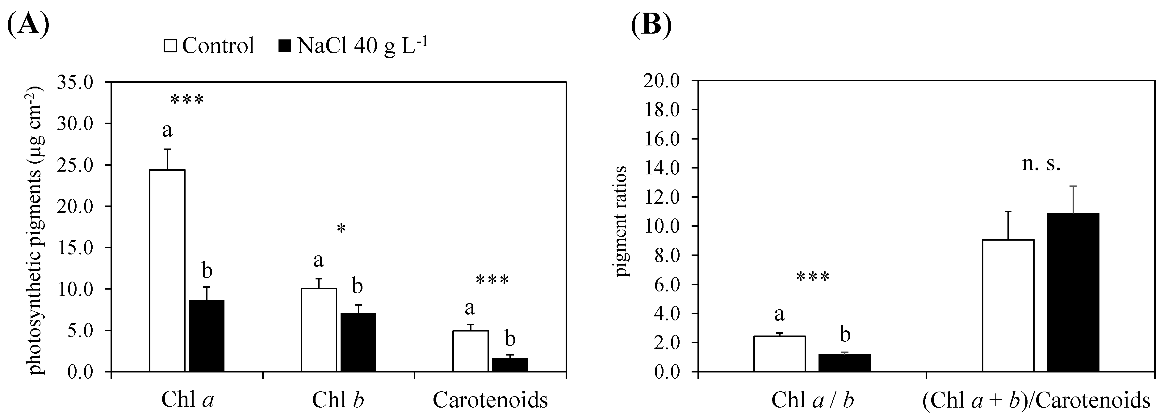Plants 13 00378 g006