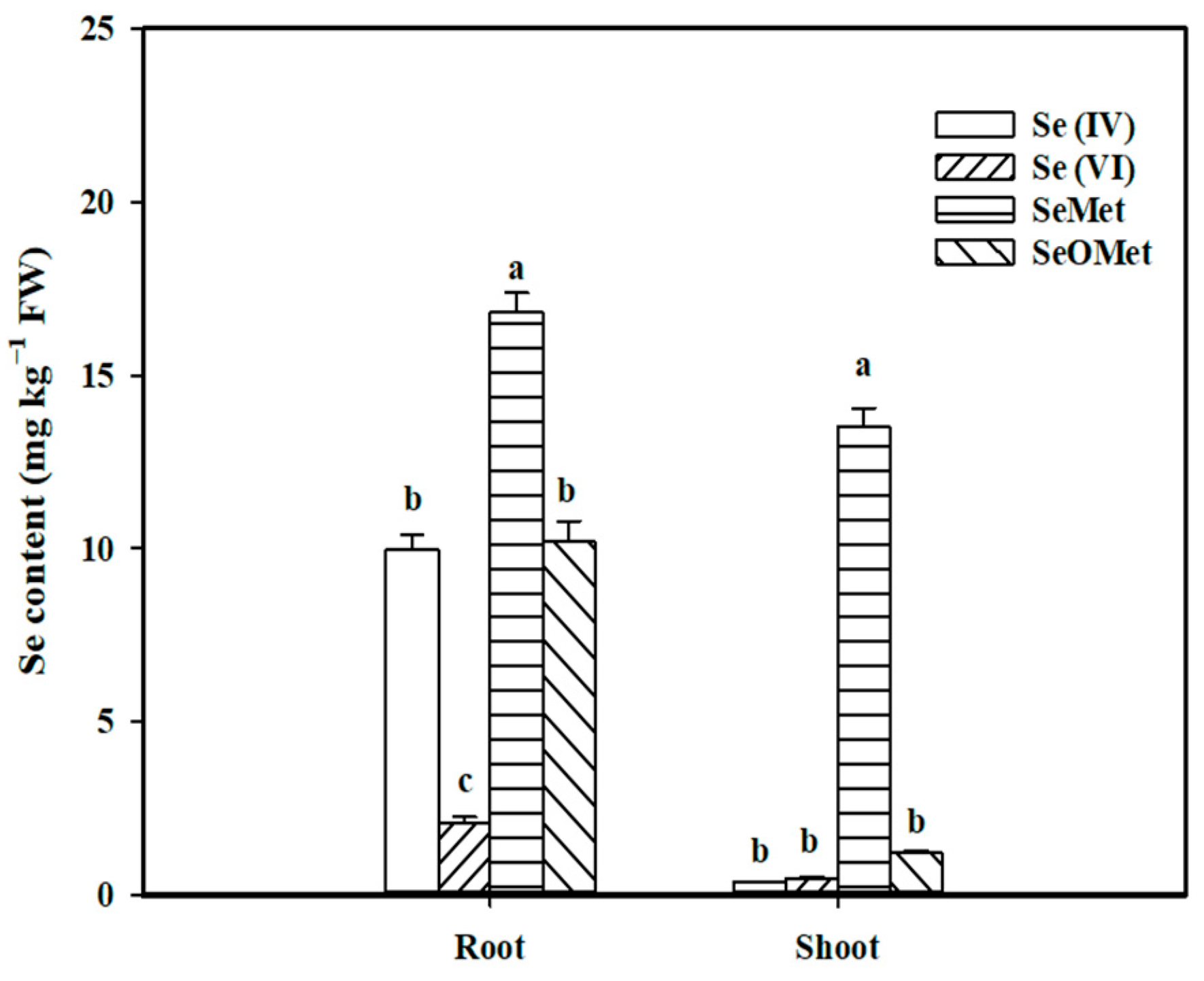 Plants 13 00380 g001