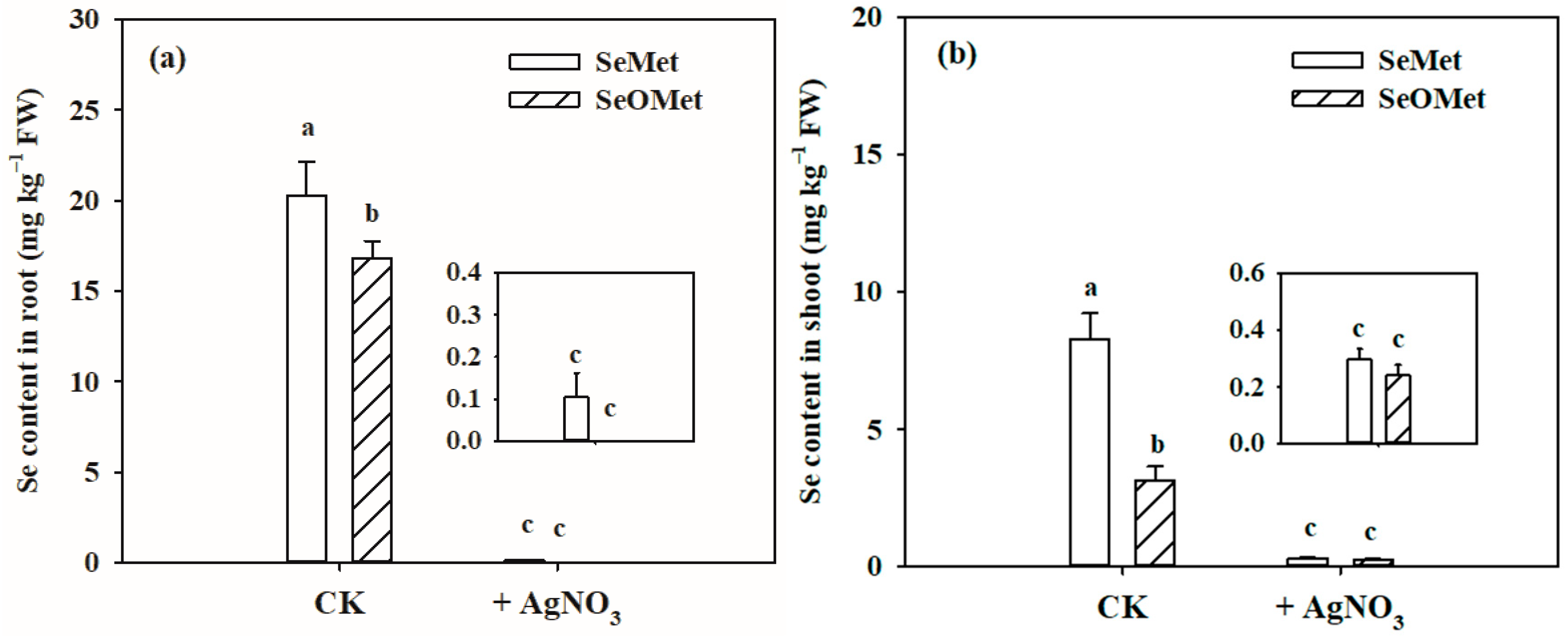 Plants 13 00380 g002