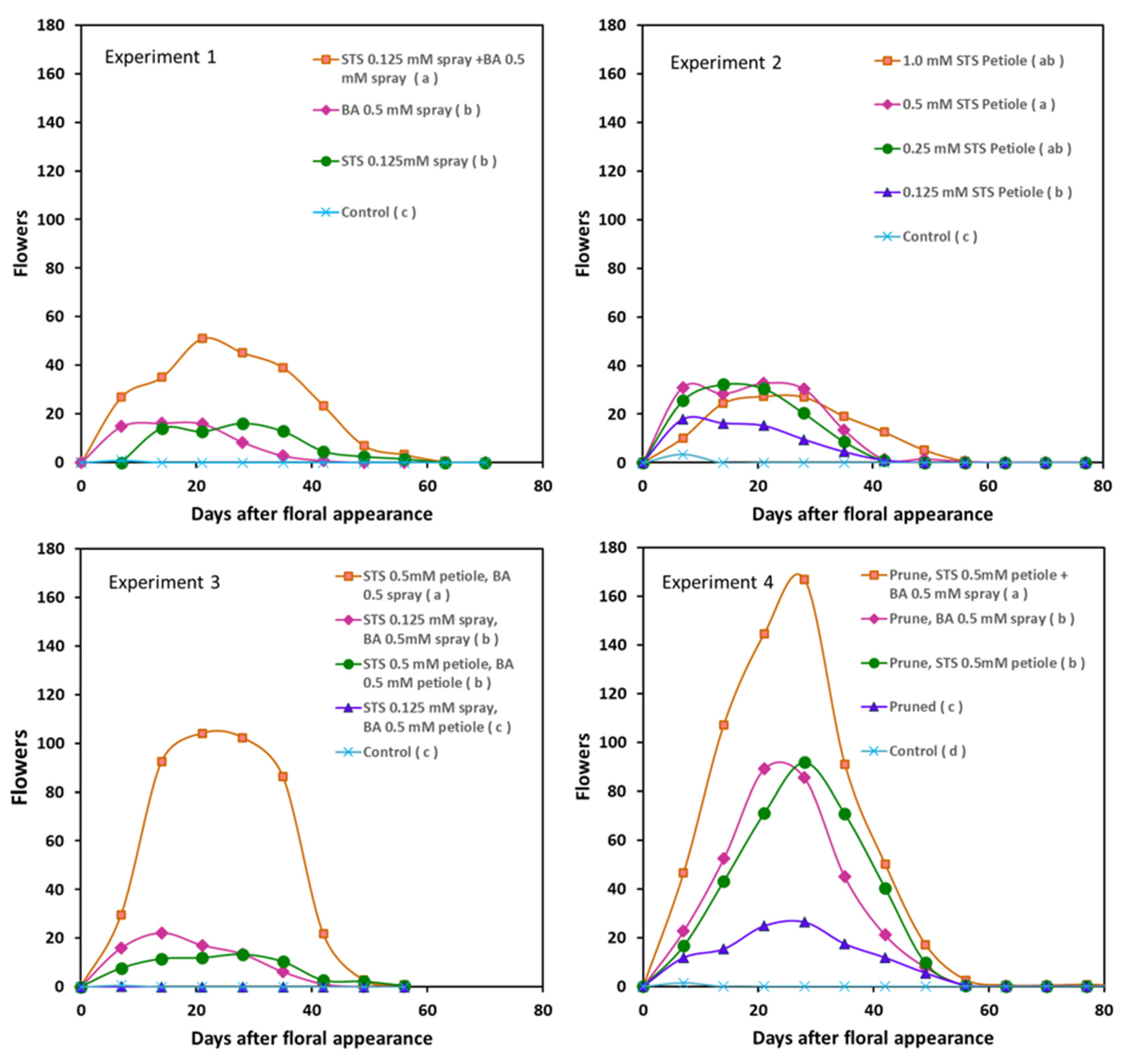 Plants 13 00382 g001