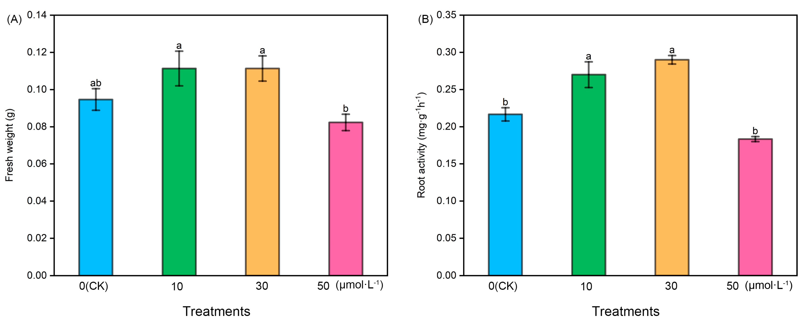 Plants 13 00383 g001