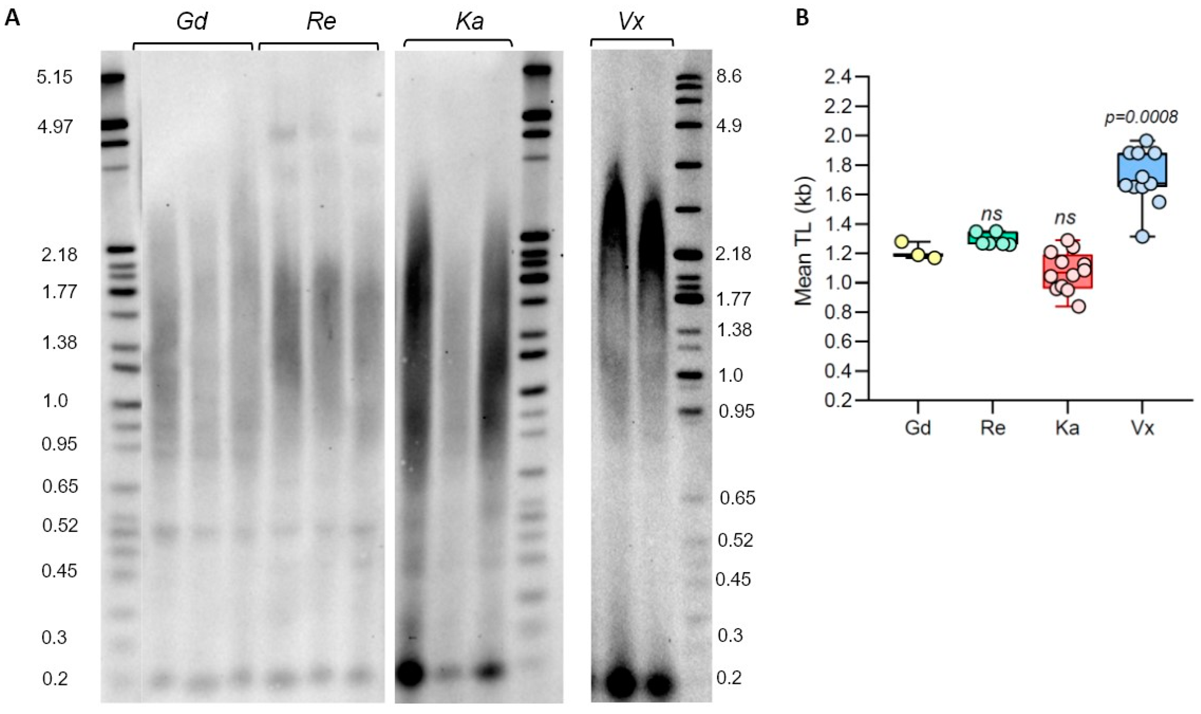 Plants 13 00387 g001