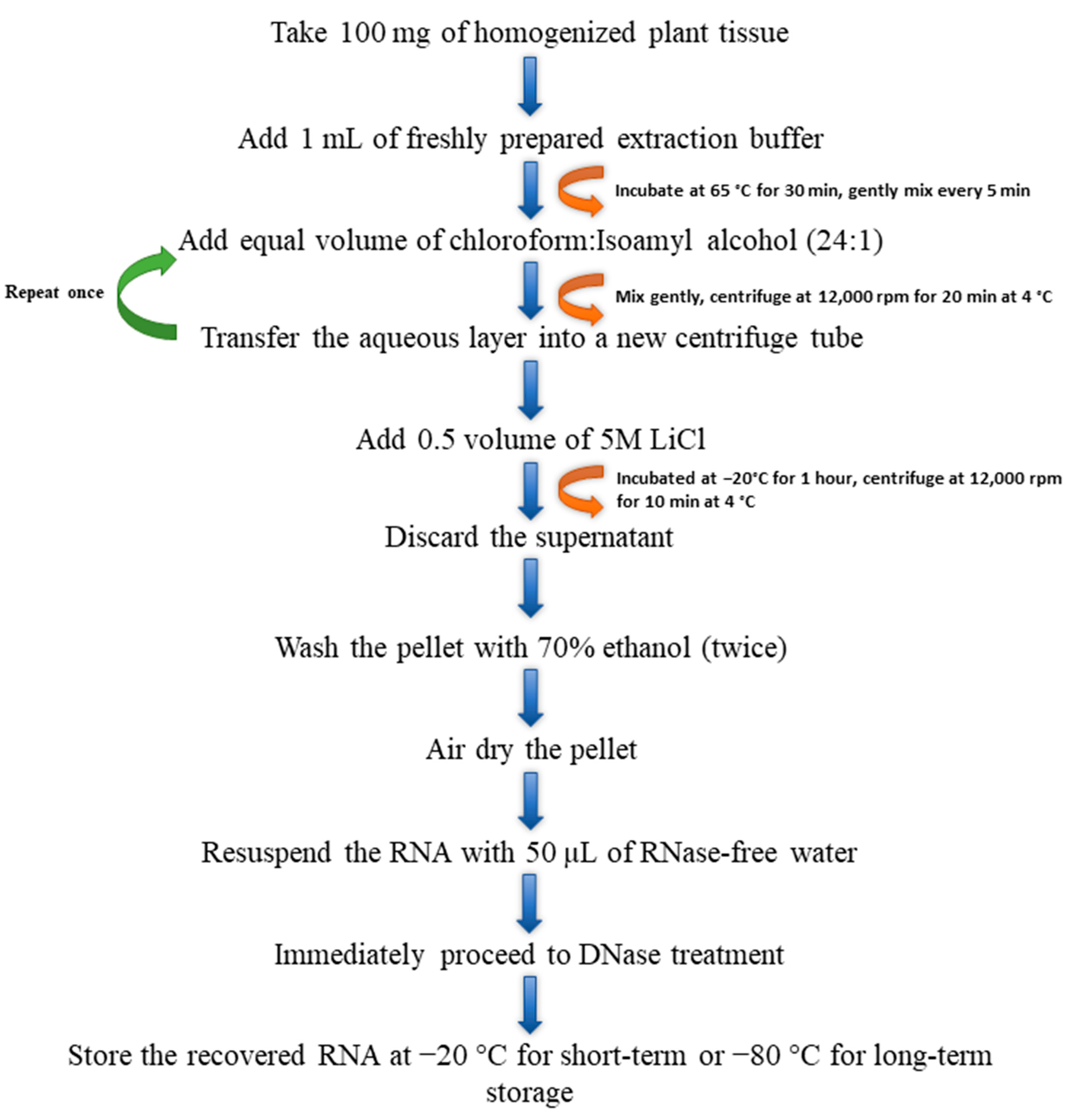 Plants 13 00389 g003