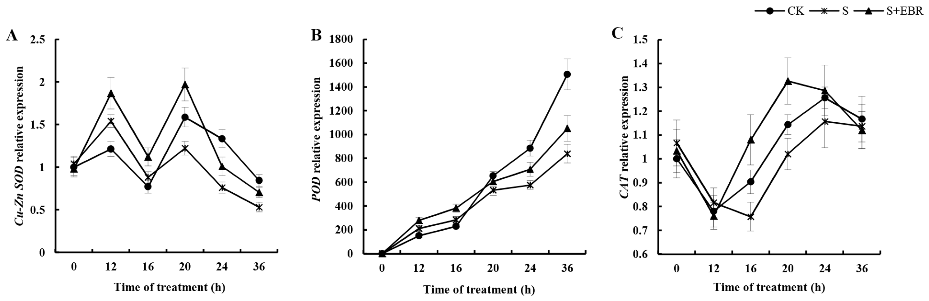 Plants 13 00394 g005