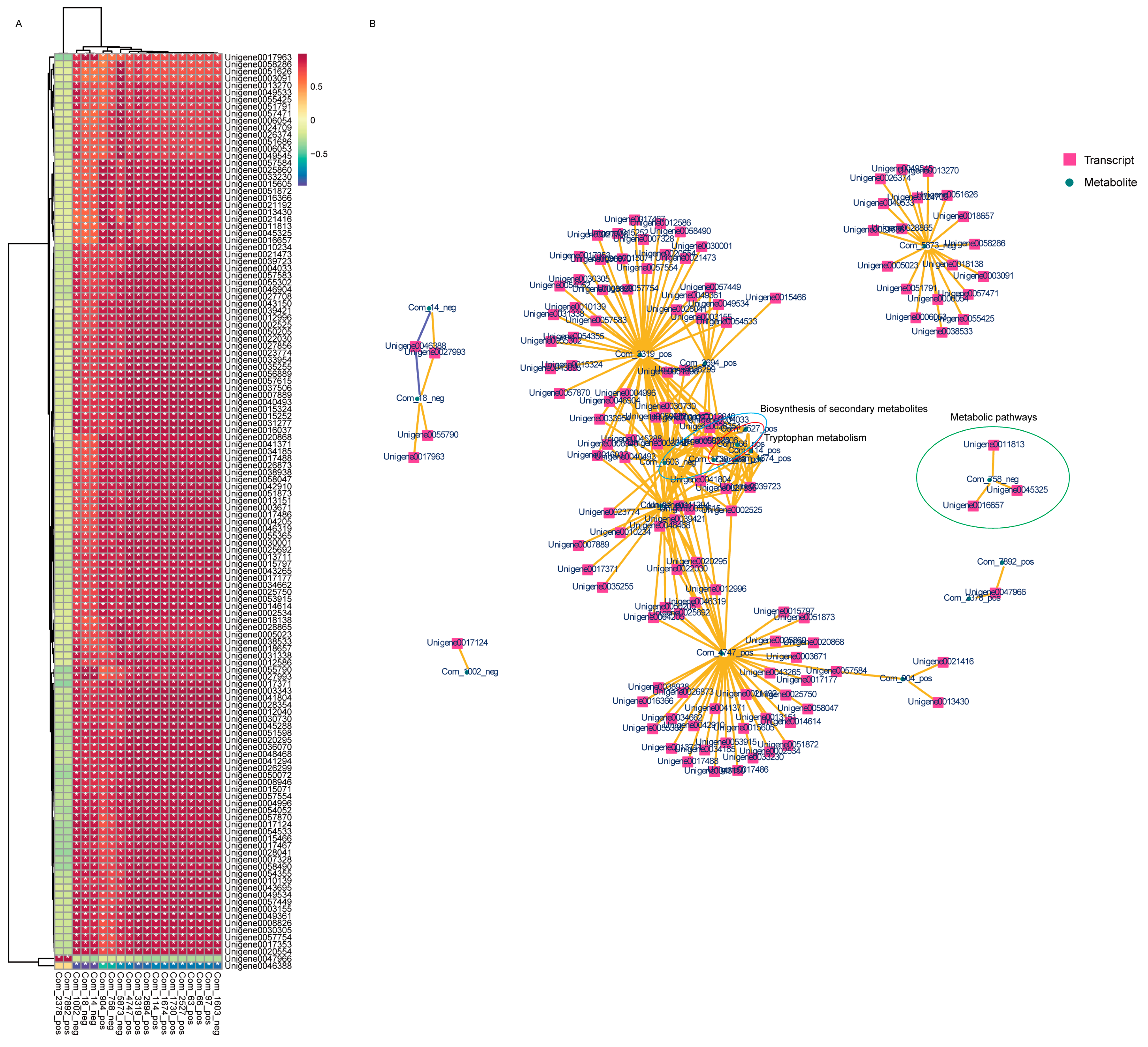 Plants 13 00397 g009