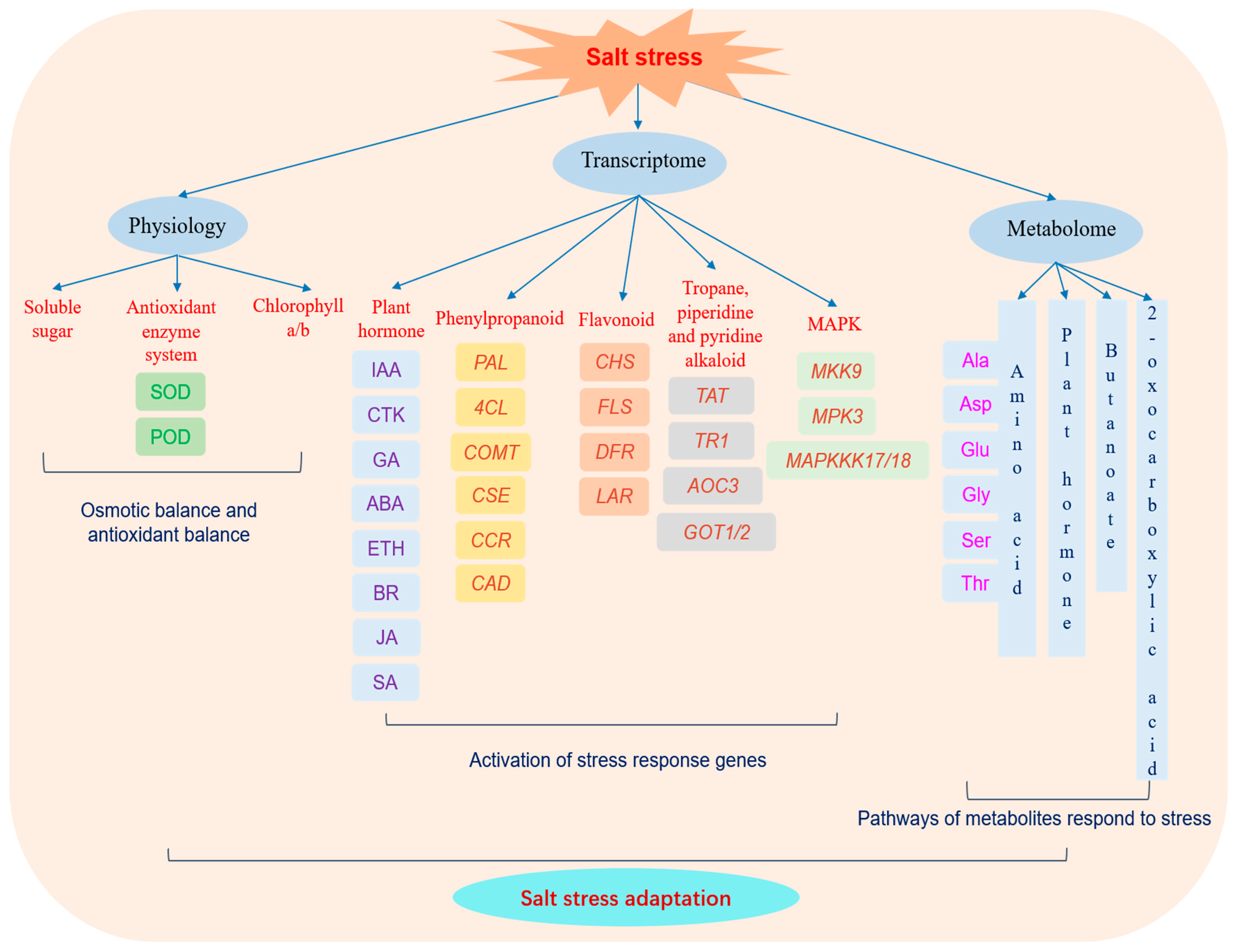Plants 13 00397 g010