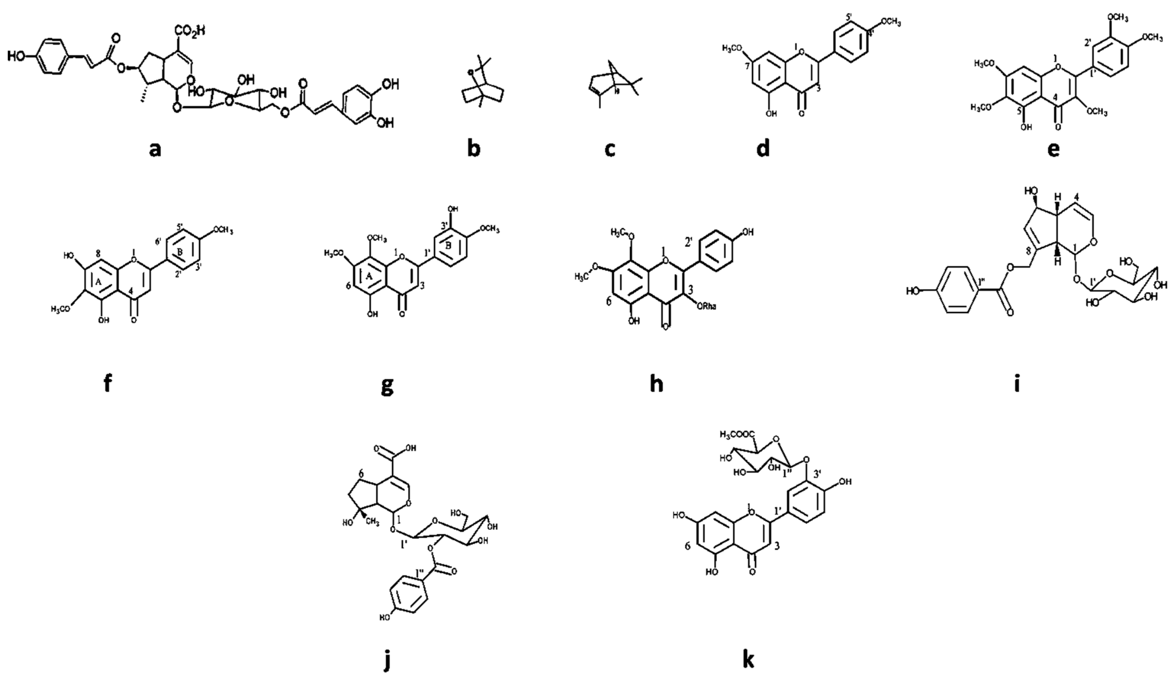 Plants 13 00401 g007