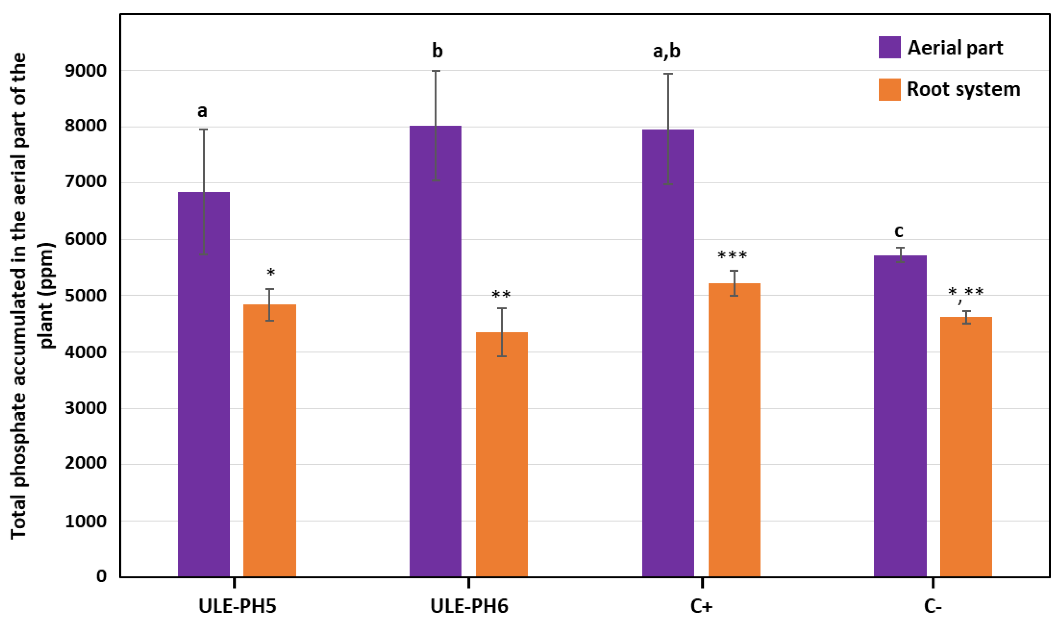 Plants 13 00402 g002
