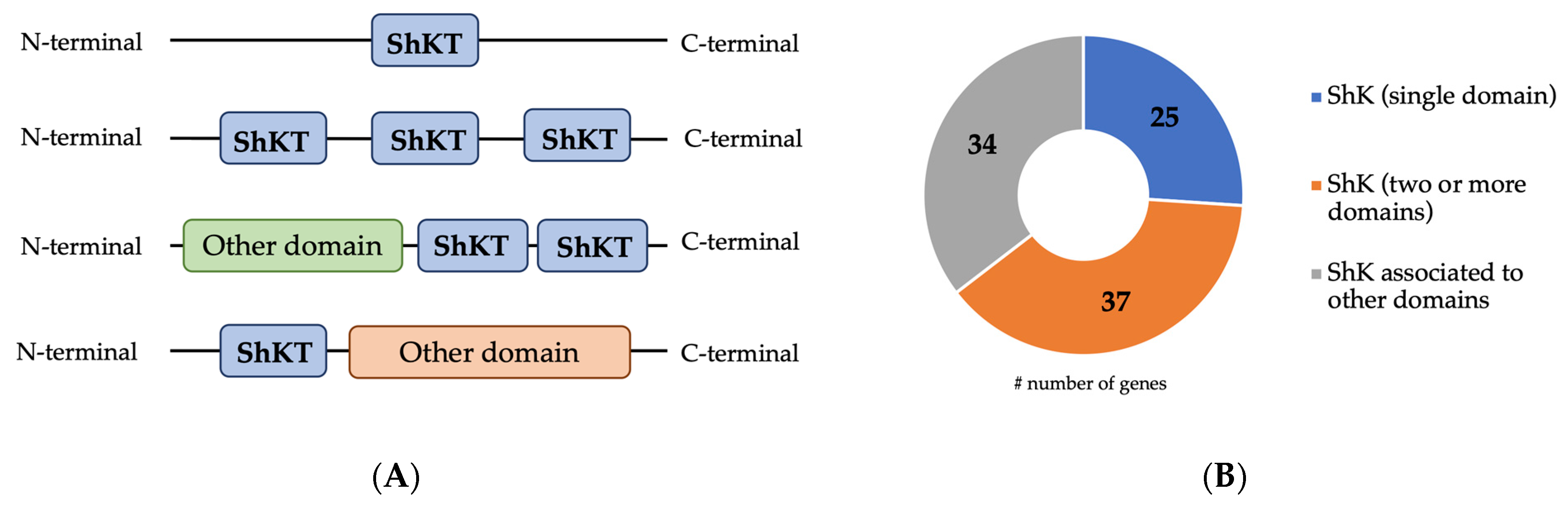 Plants 13 00404 g001