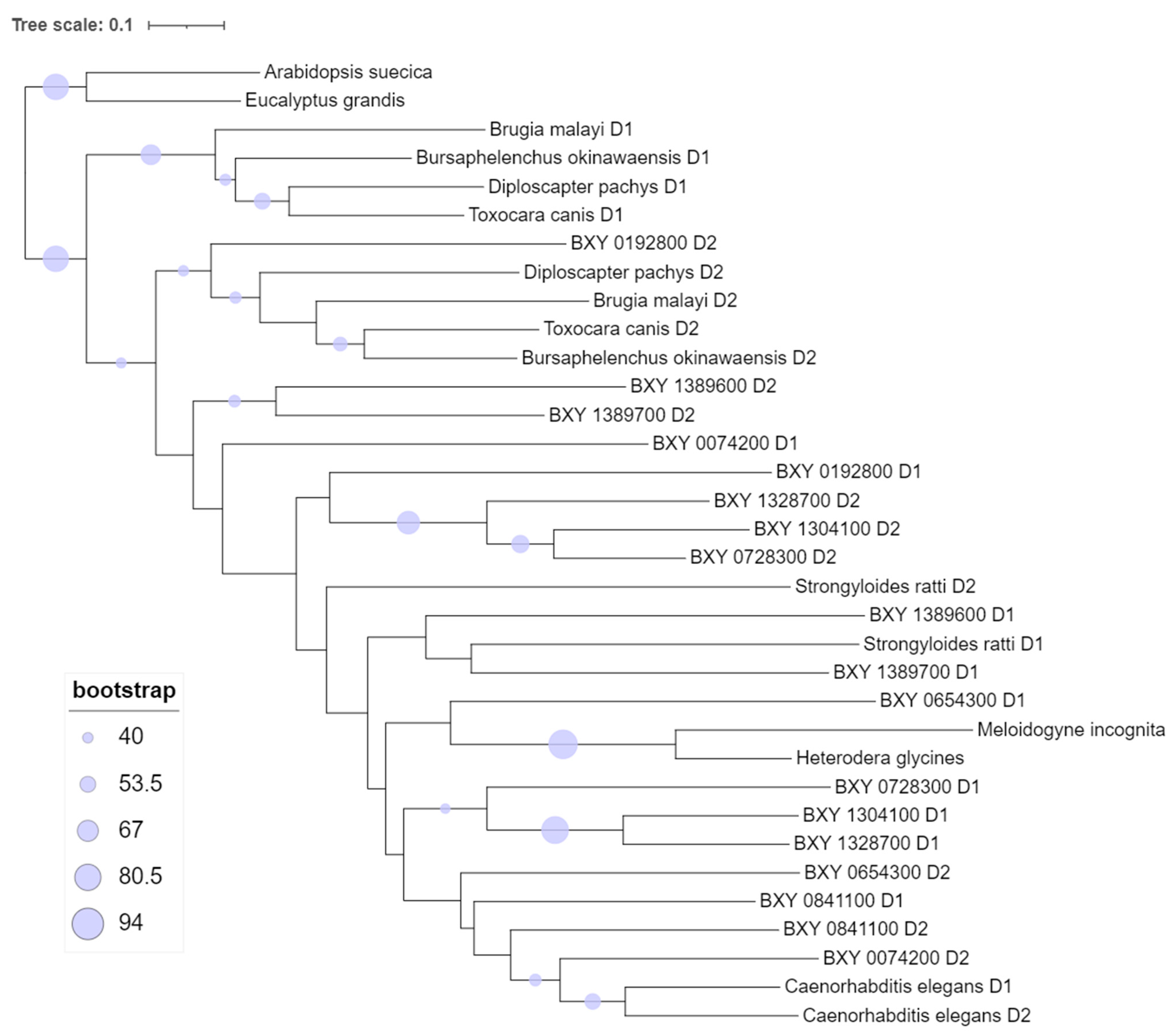 Plants 13 00404 g003