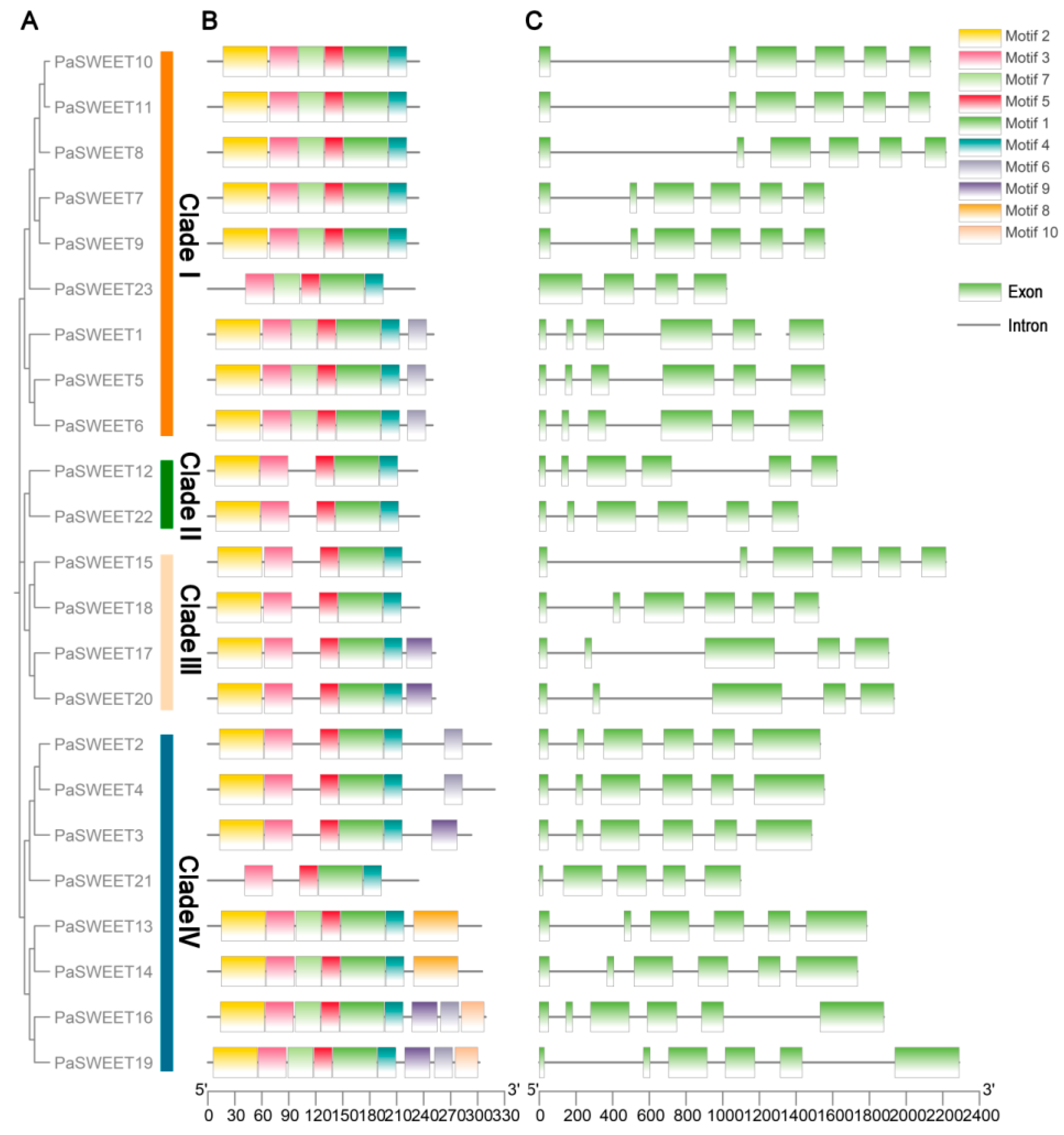 Plants 13 00406 g003