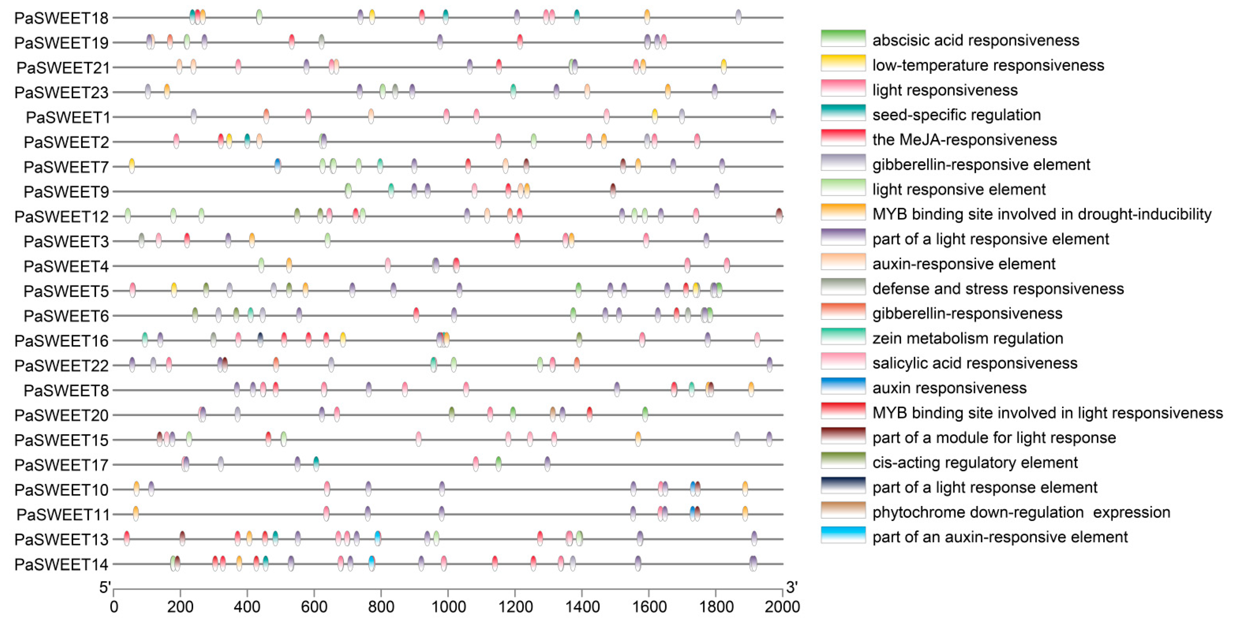Plants 13 00406 g004