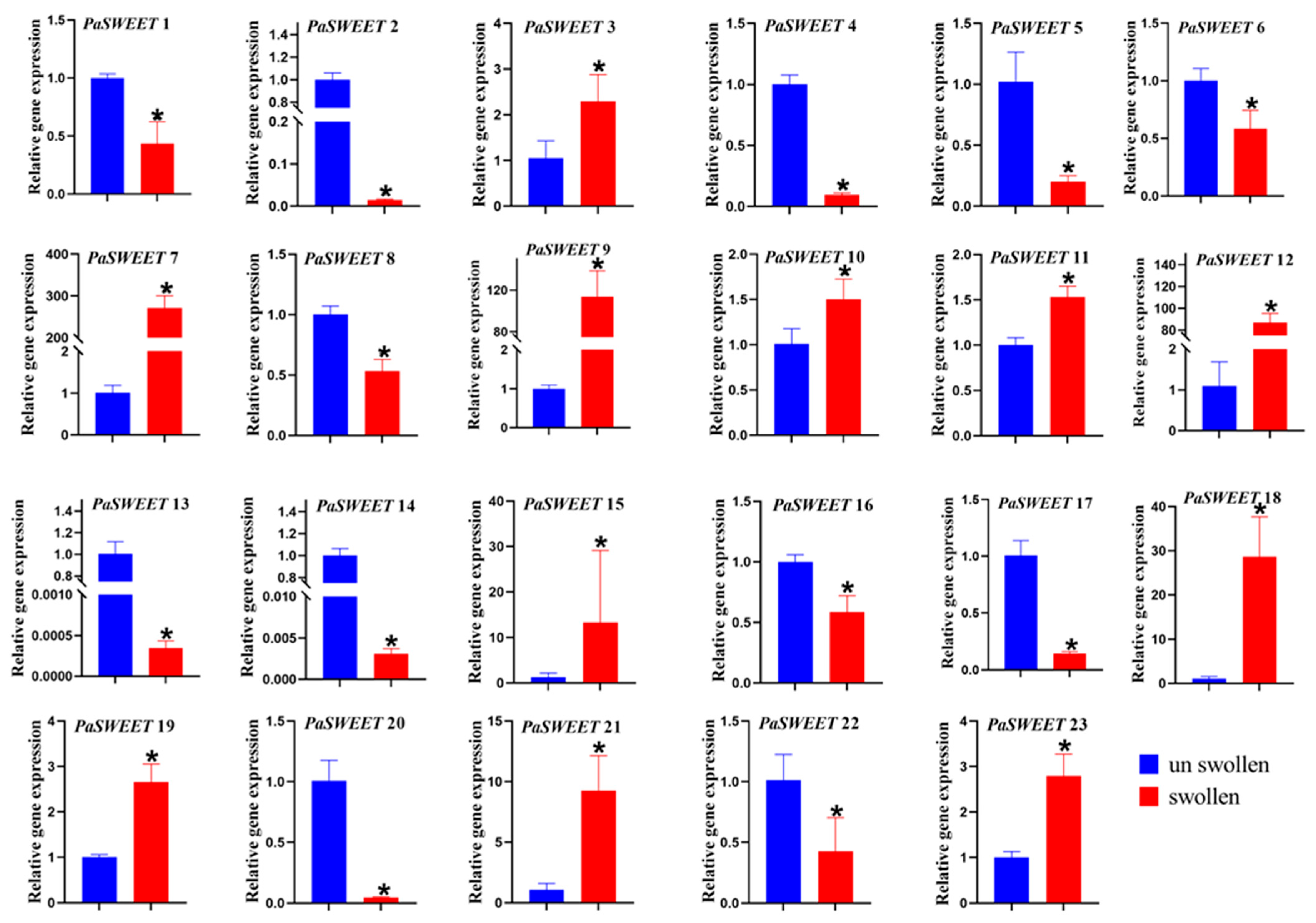 Plants 13 00406 g006