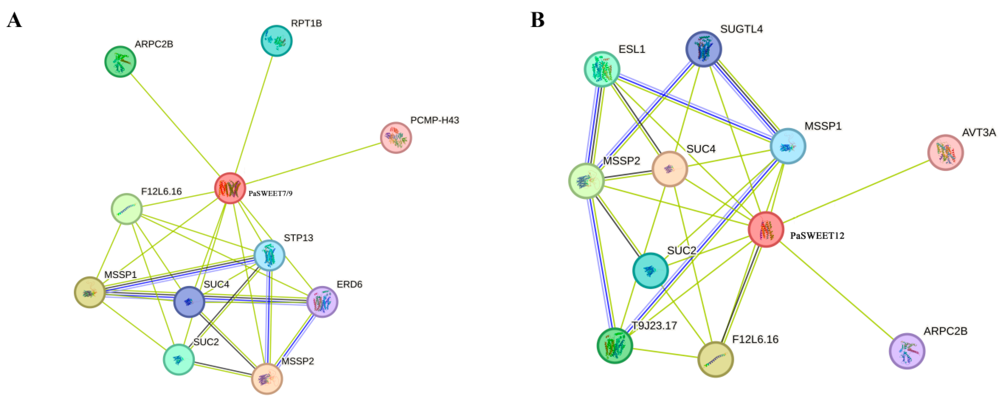 Plants 13 00406 g008