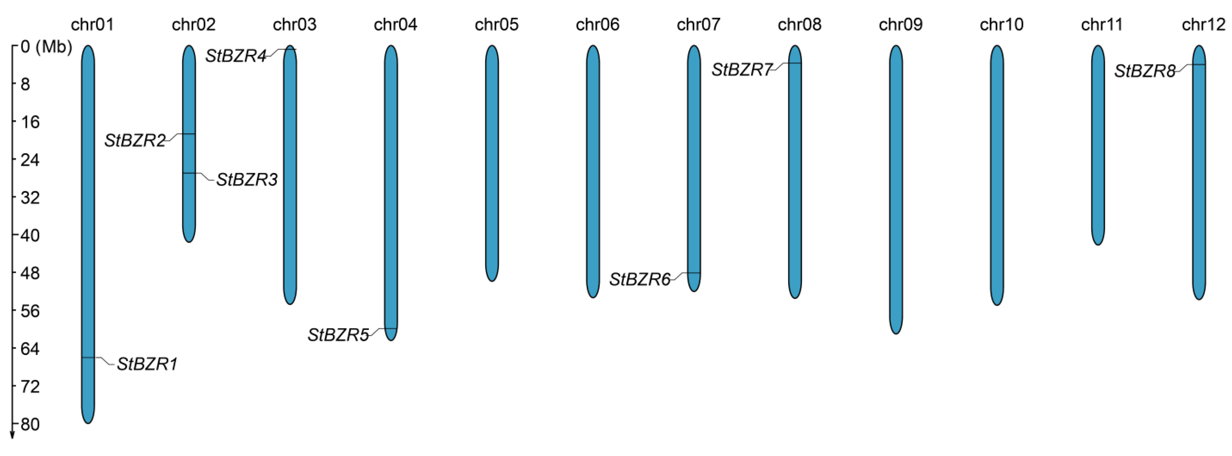 Plants 13 00407 g001
