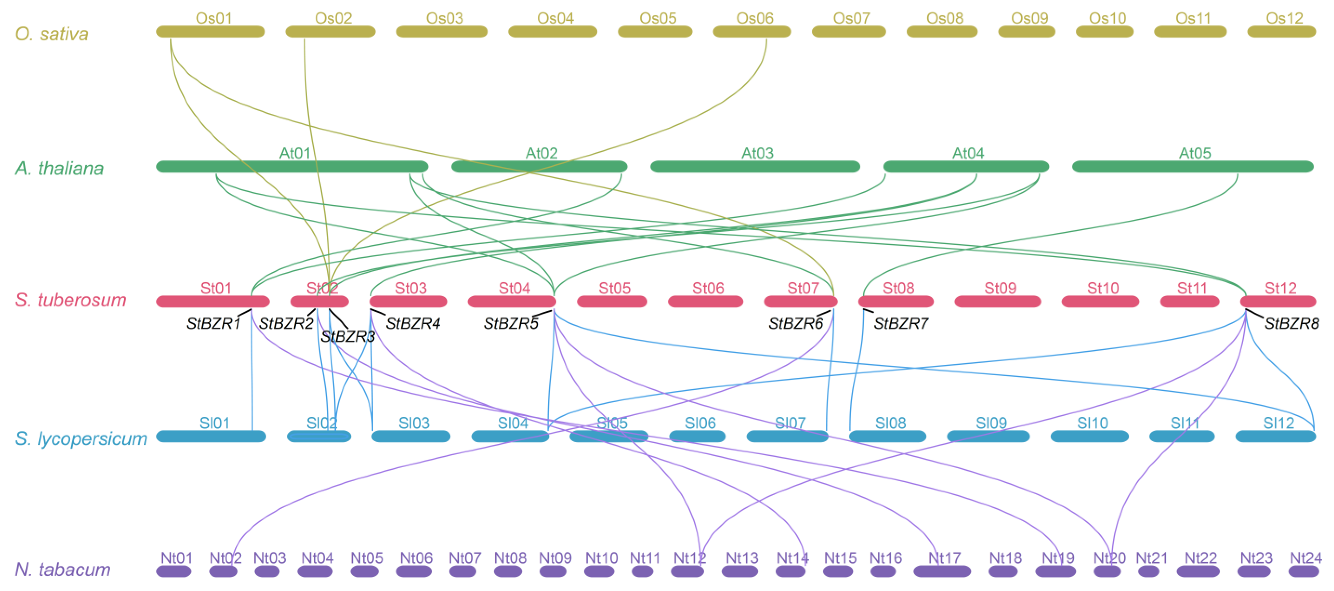 Plants 13 00407 g004