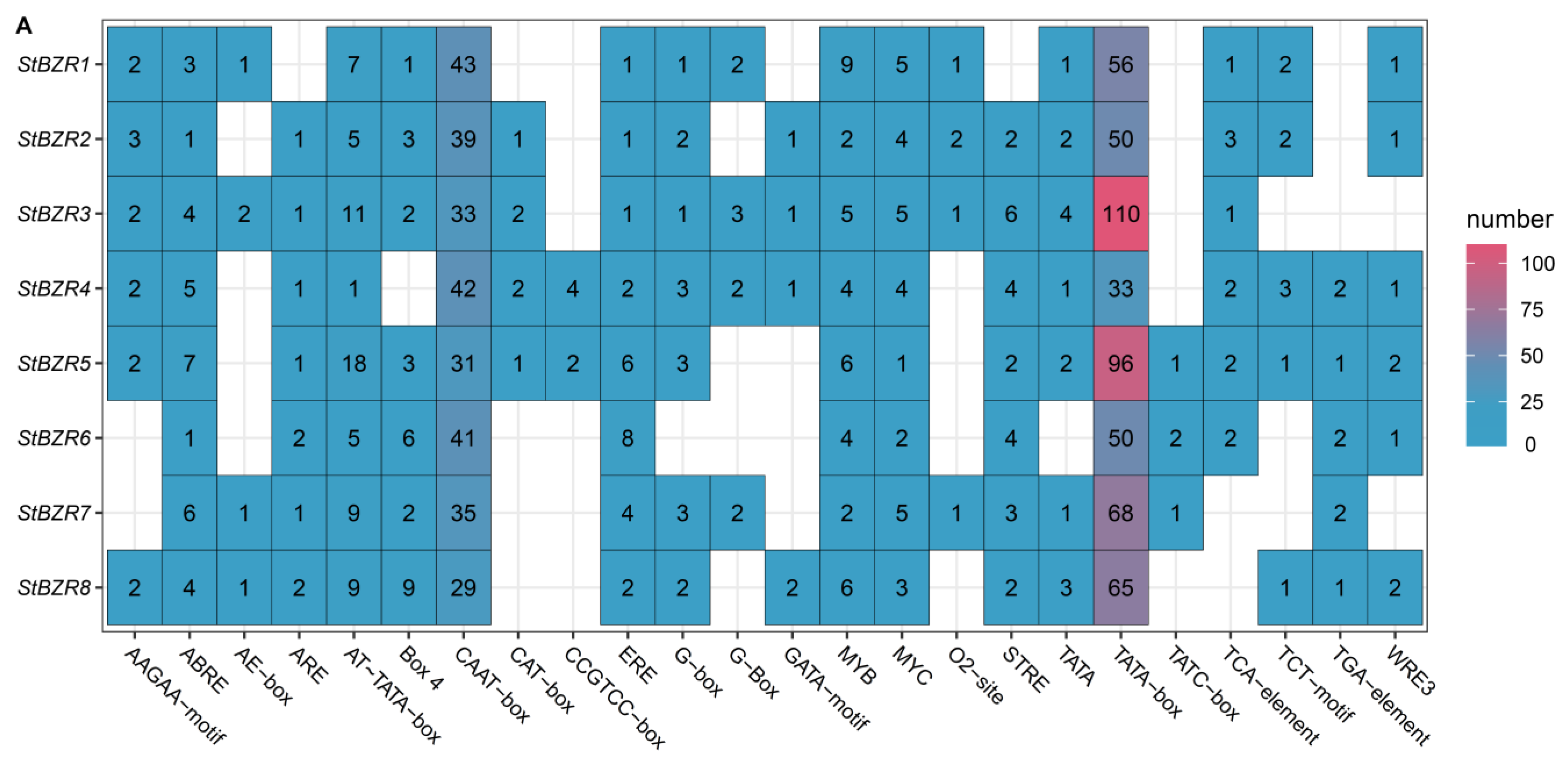 Plants 13 00407 g006a