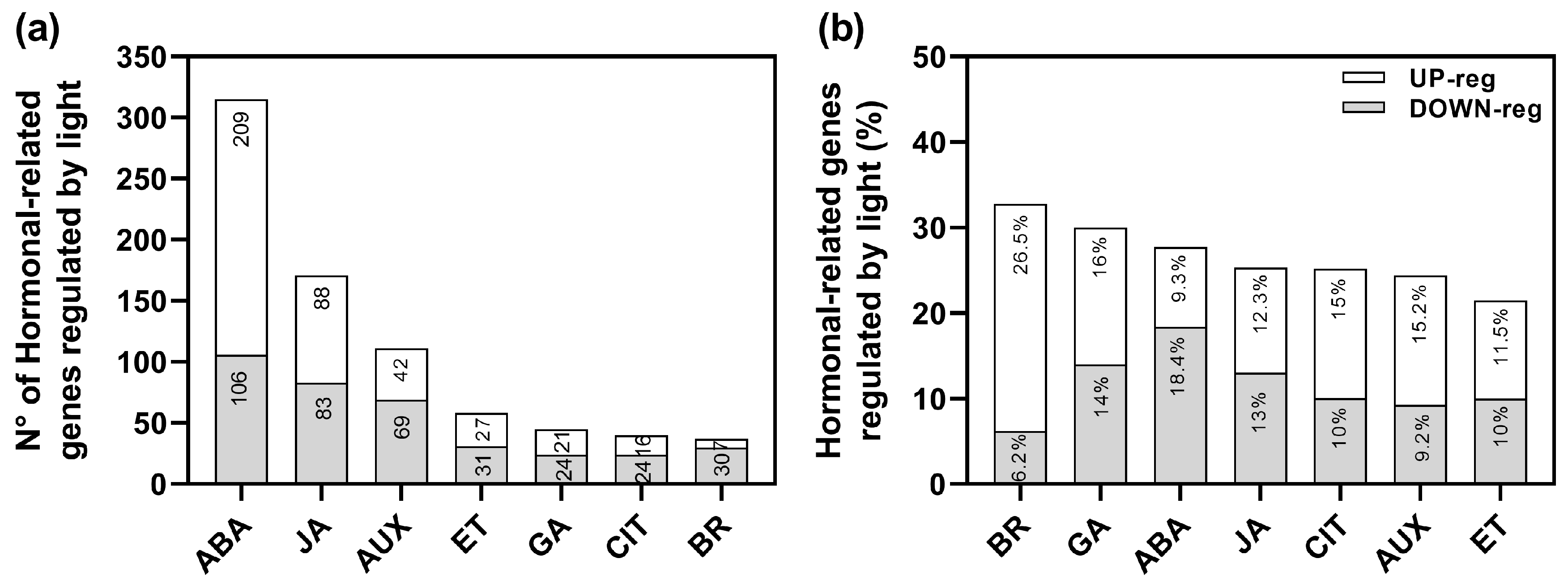 Plants 13 00408 g001