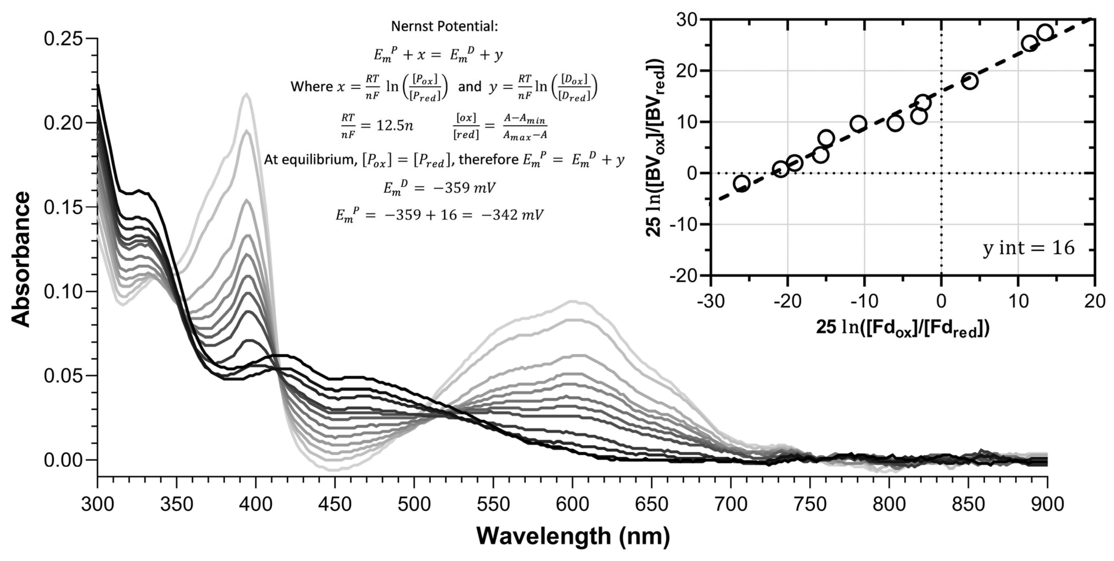 Plants 13 00409 g002