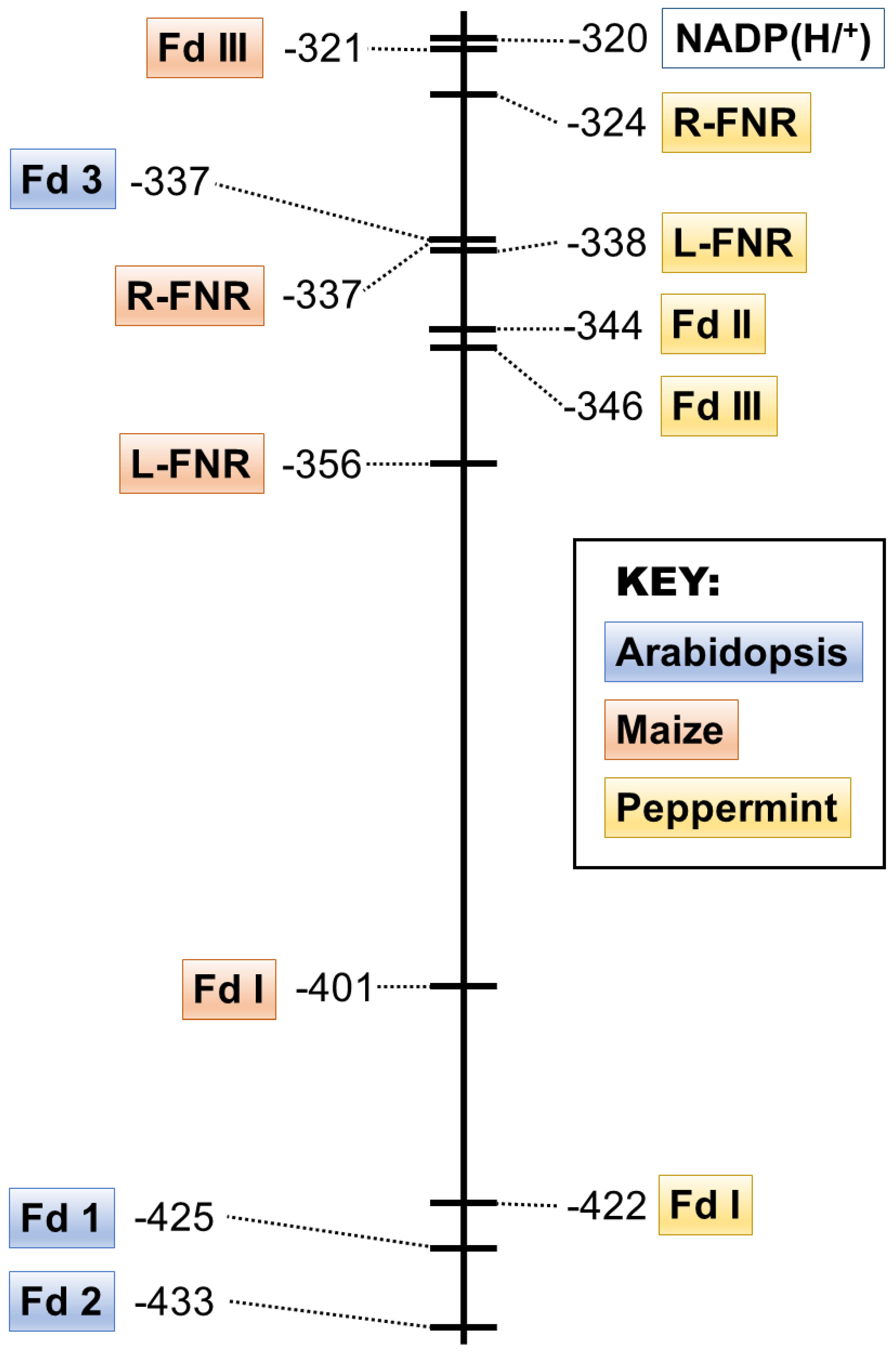 Plants 13 00409 g003