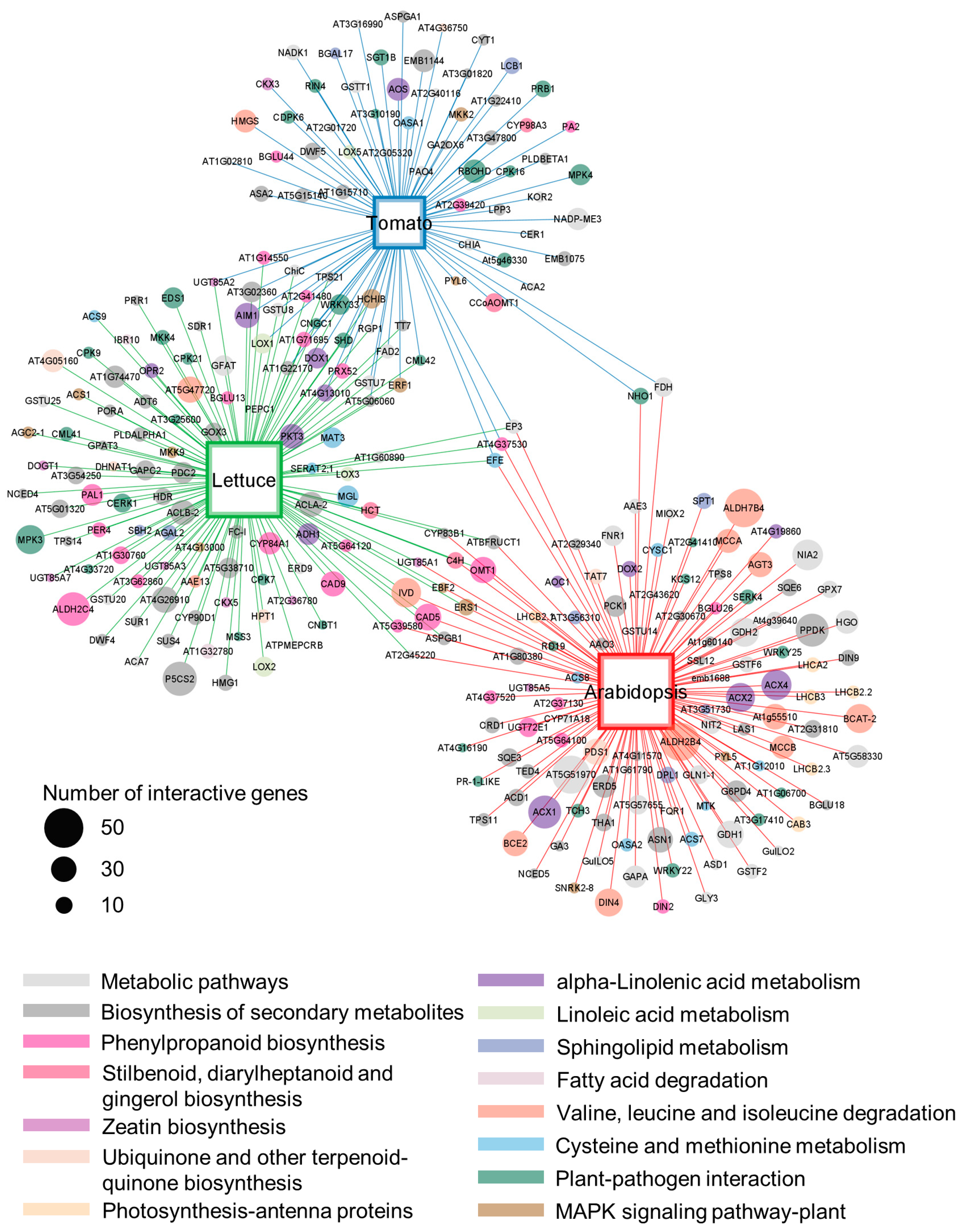 Plants 13 00414 g004