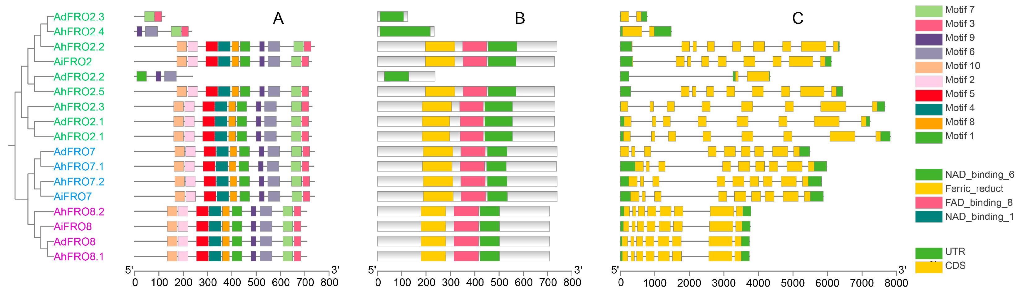Plants 13 00418 g002