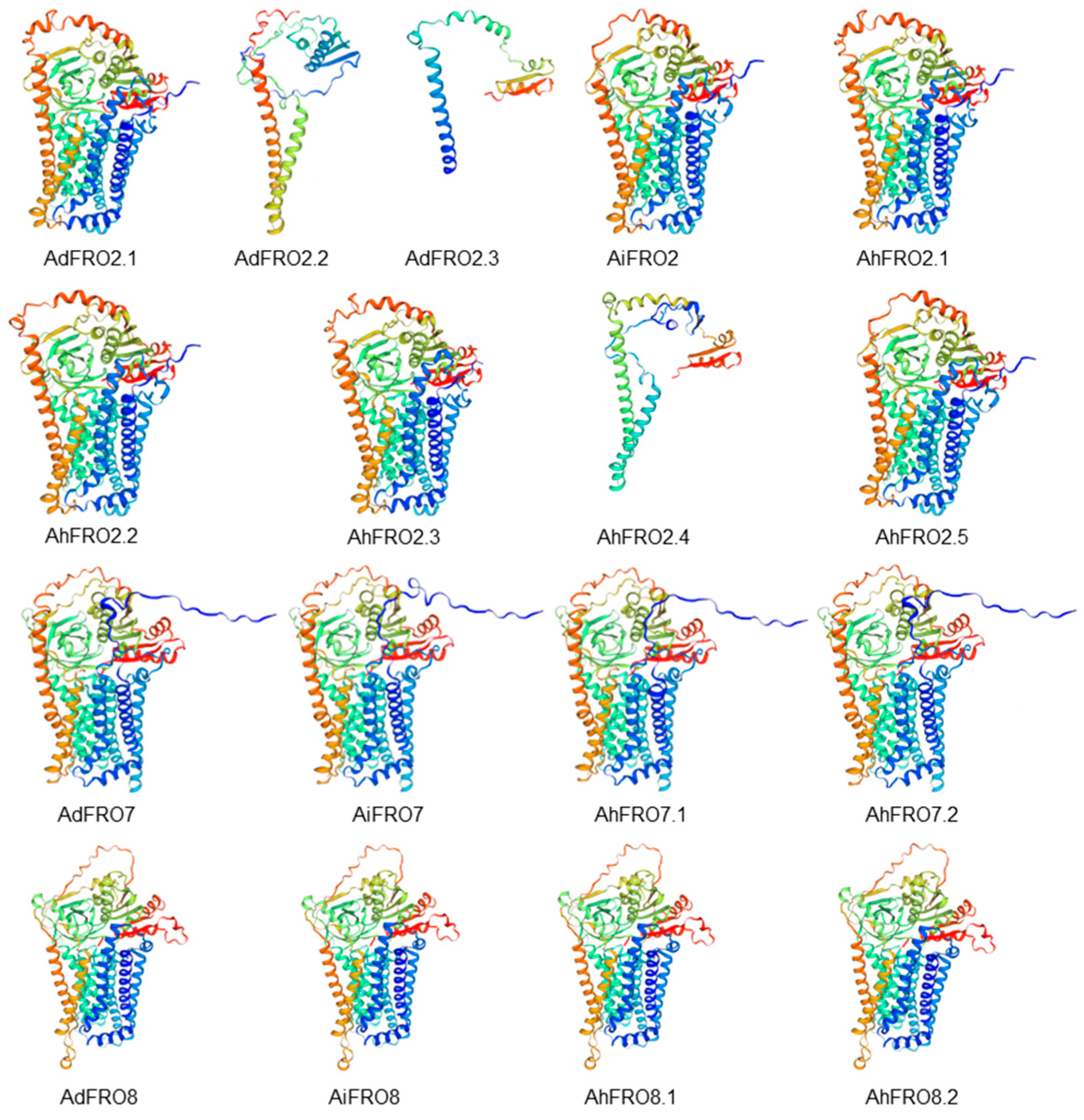 Plants 13 00418 g004