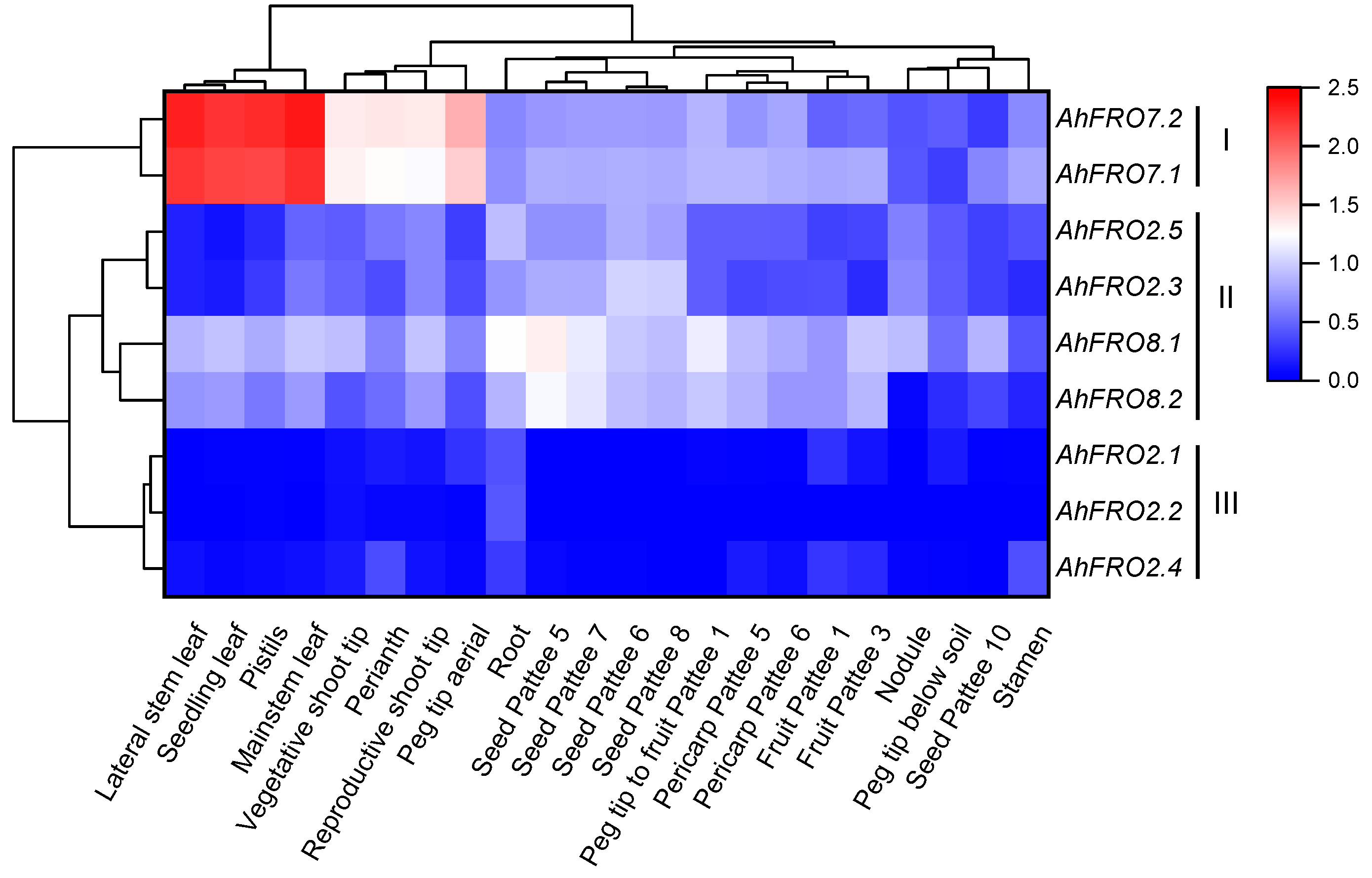 Plants 13 00418 g005