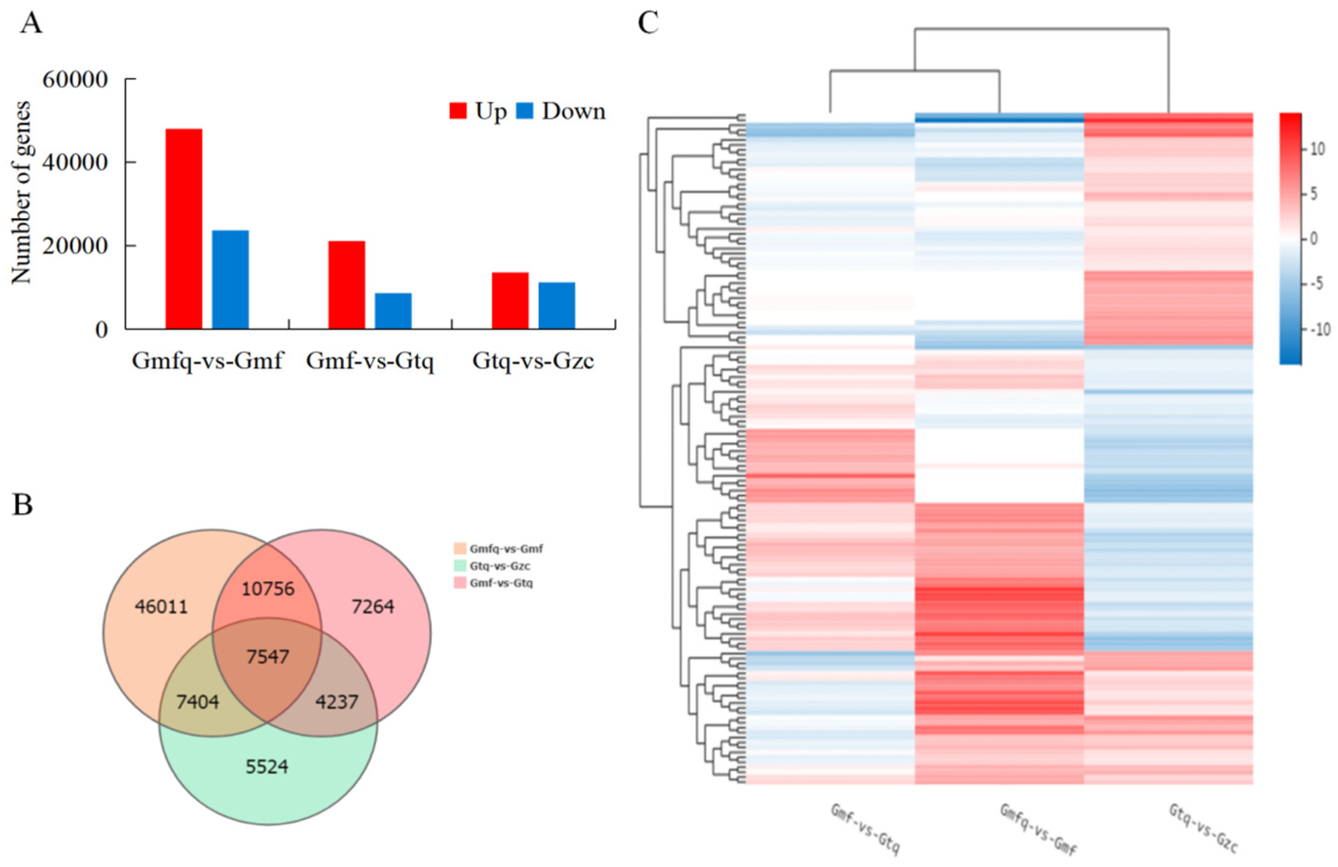 Plants 13 00421 g001 Plants 13 00421 g001