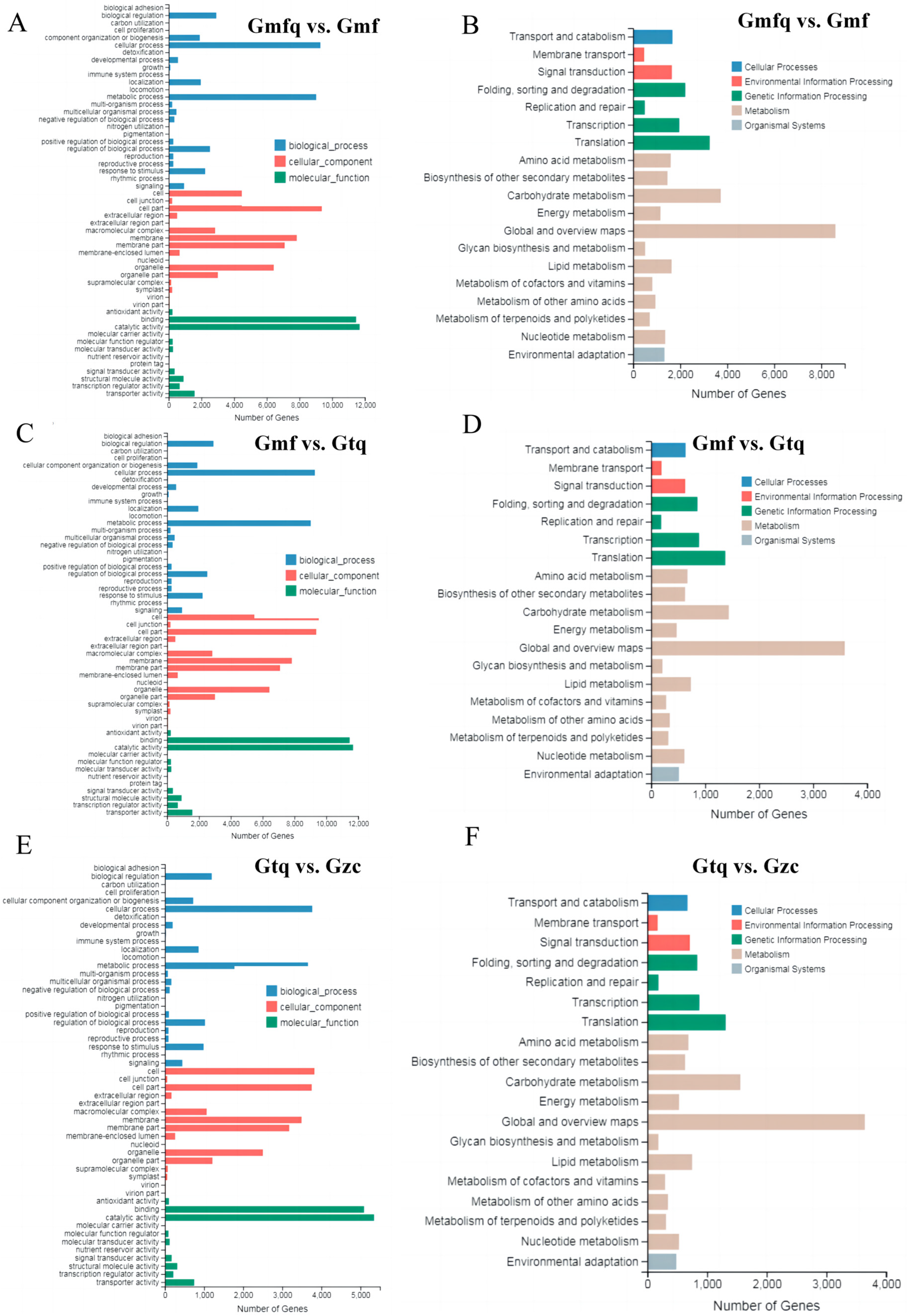 Plants 13 00421 g002 Plants 13 00421 g002