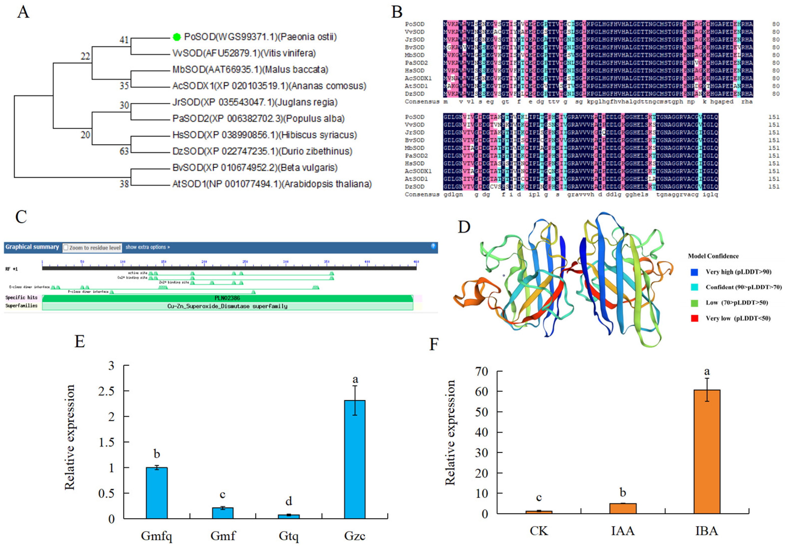 Plants 13 00421 g006 Plants 13 00421 g006
