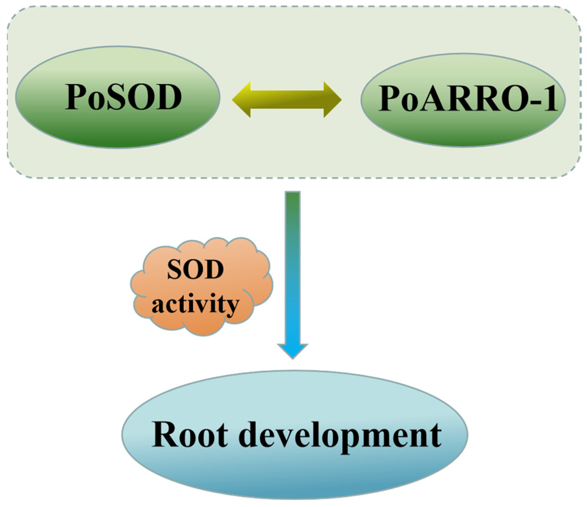 Plants 13 00421 g009 Plants 13 00421 g009