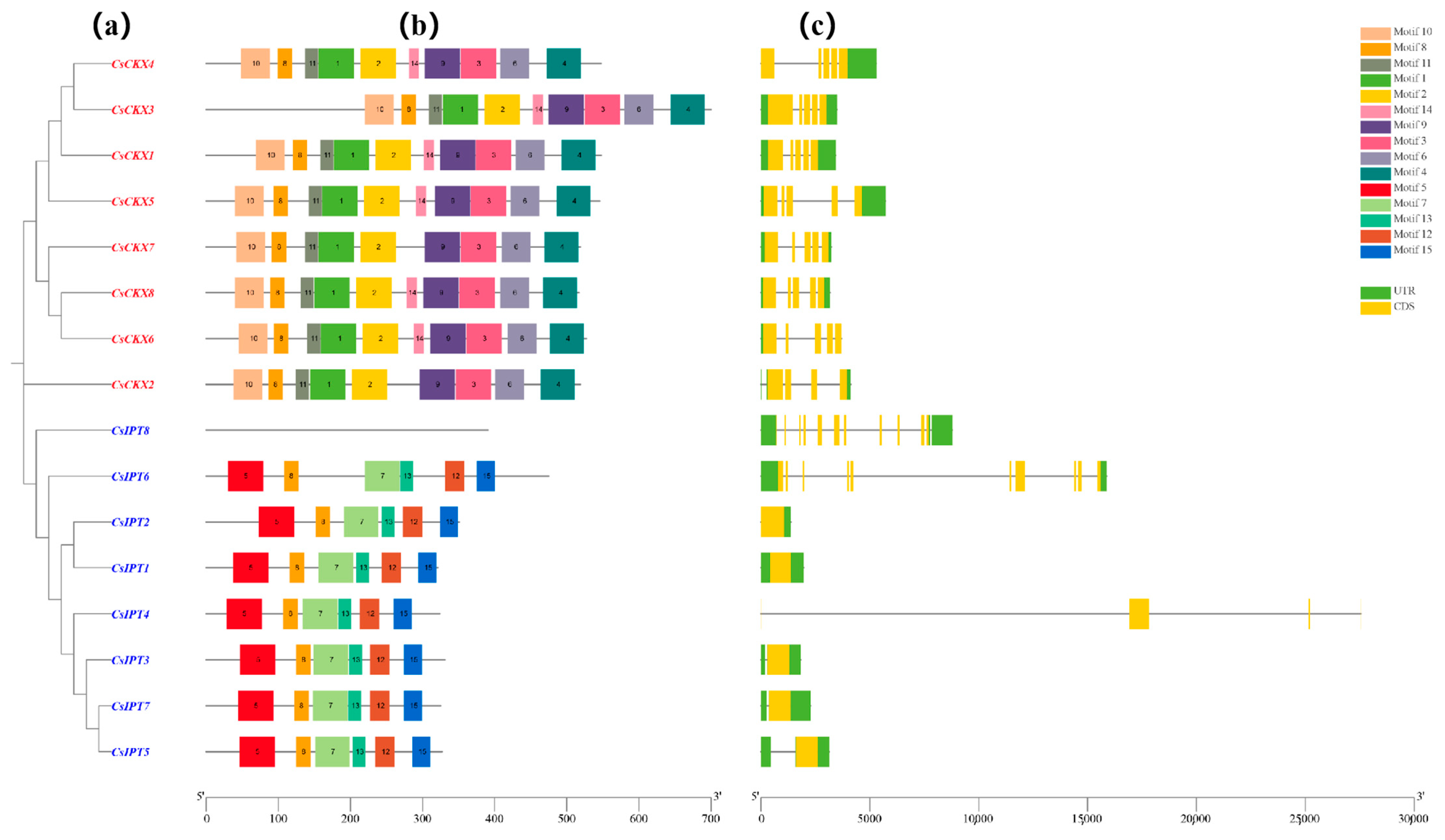 Plants 13 00422 g005