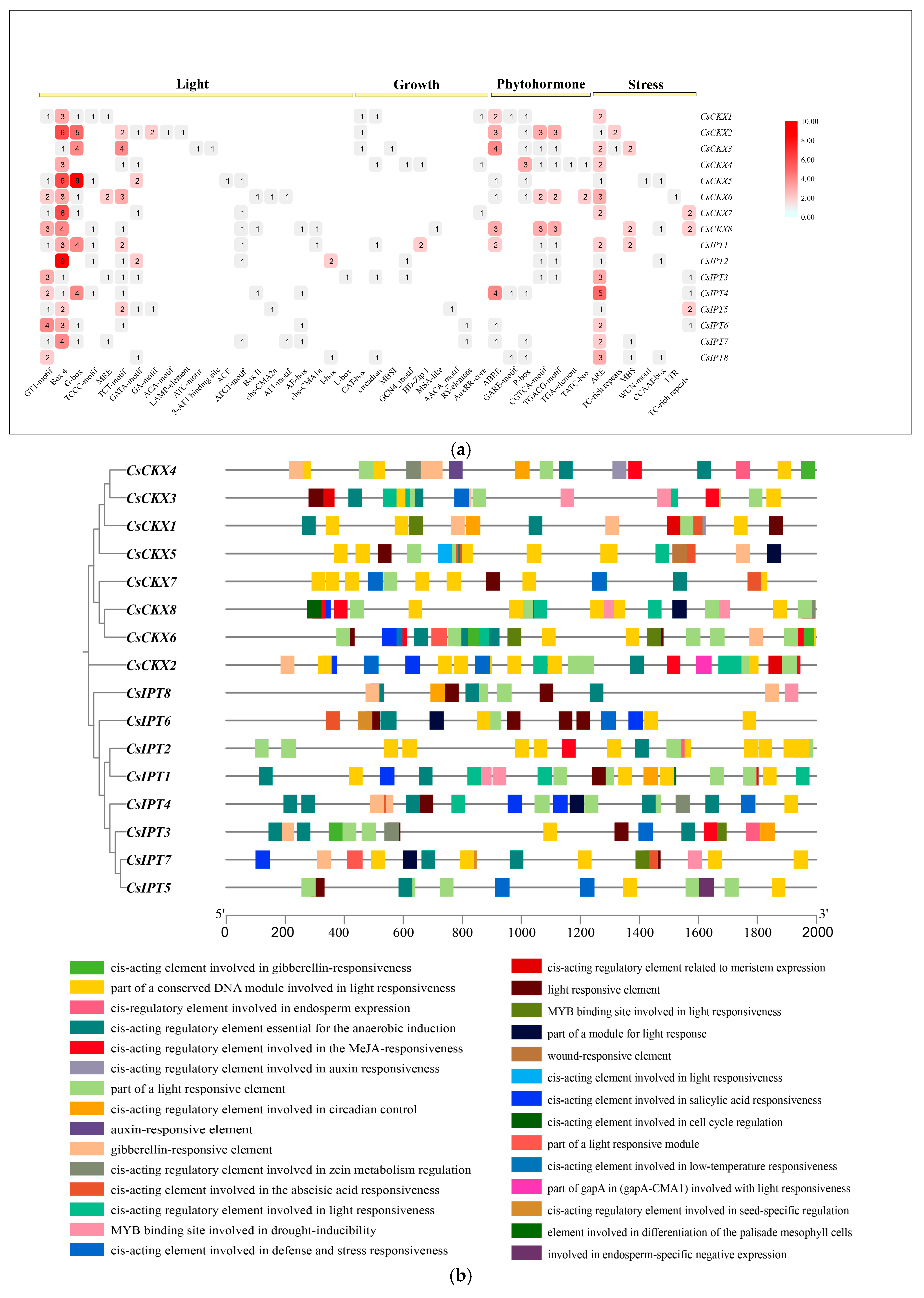 Plants 13 00422 g006