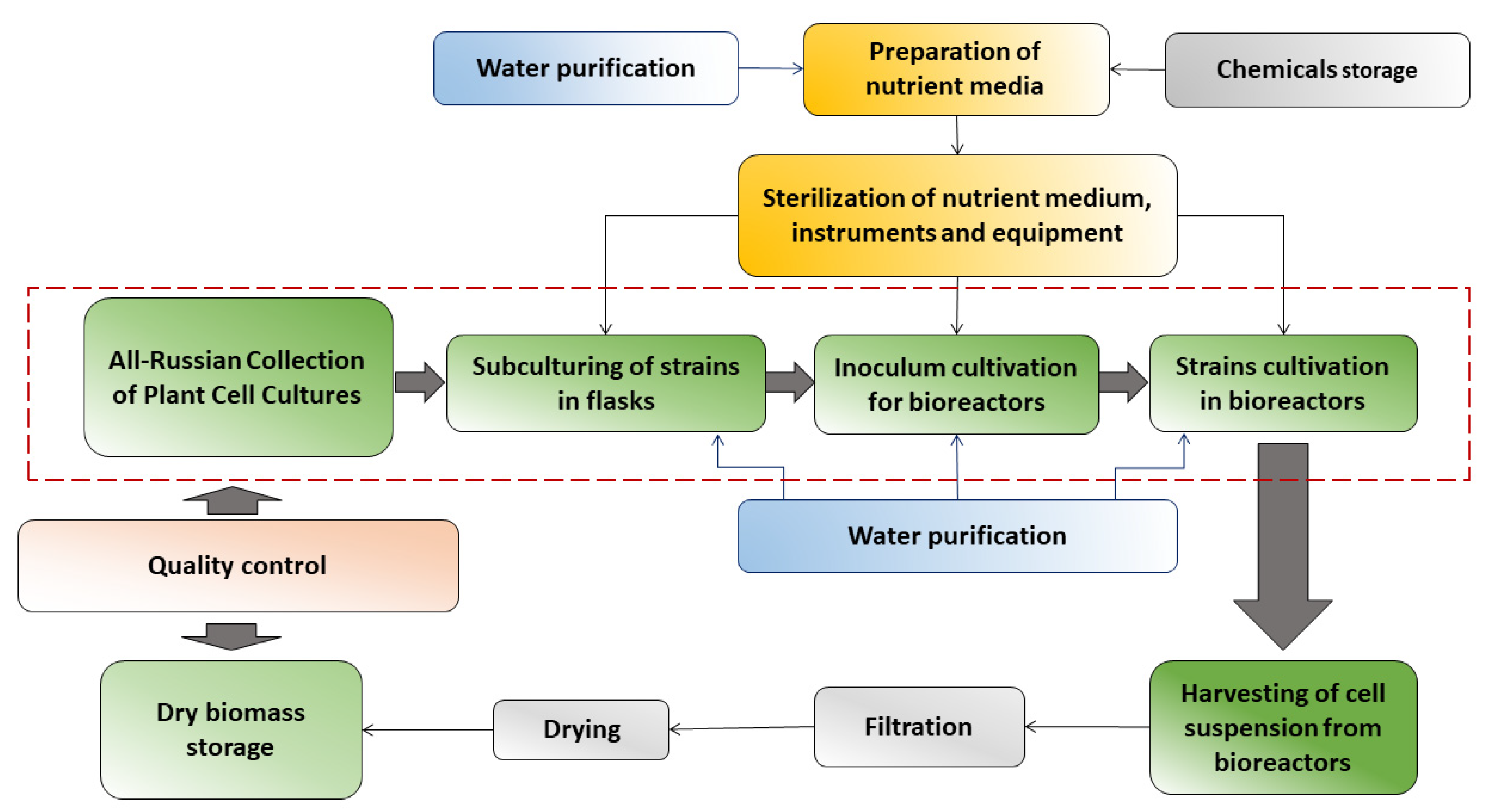 Plants 13 00430 g001