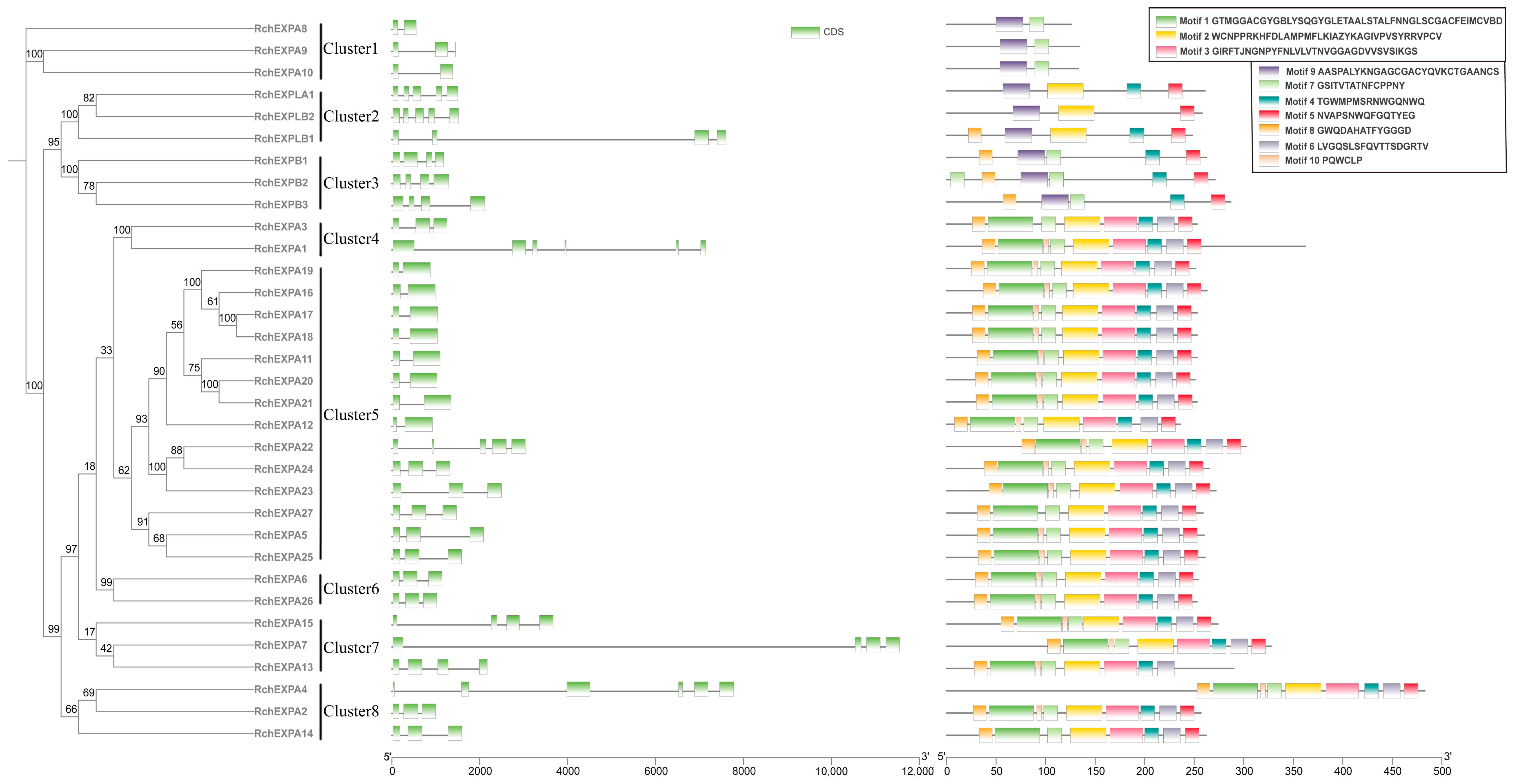 Plants 13 00431 g002