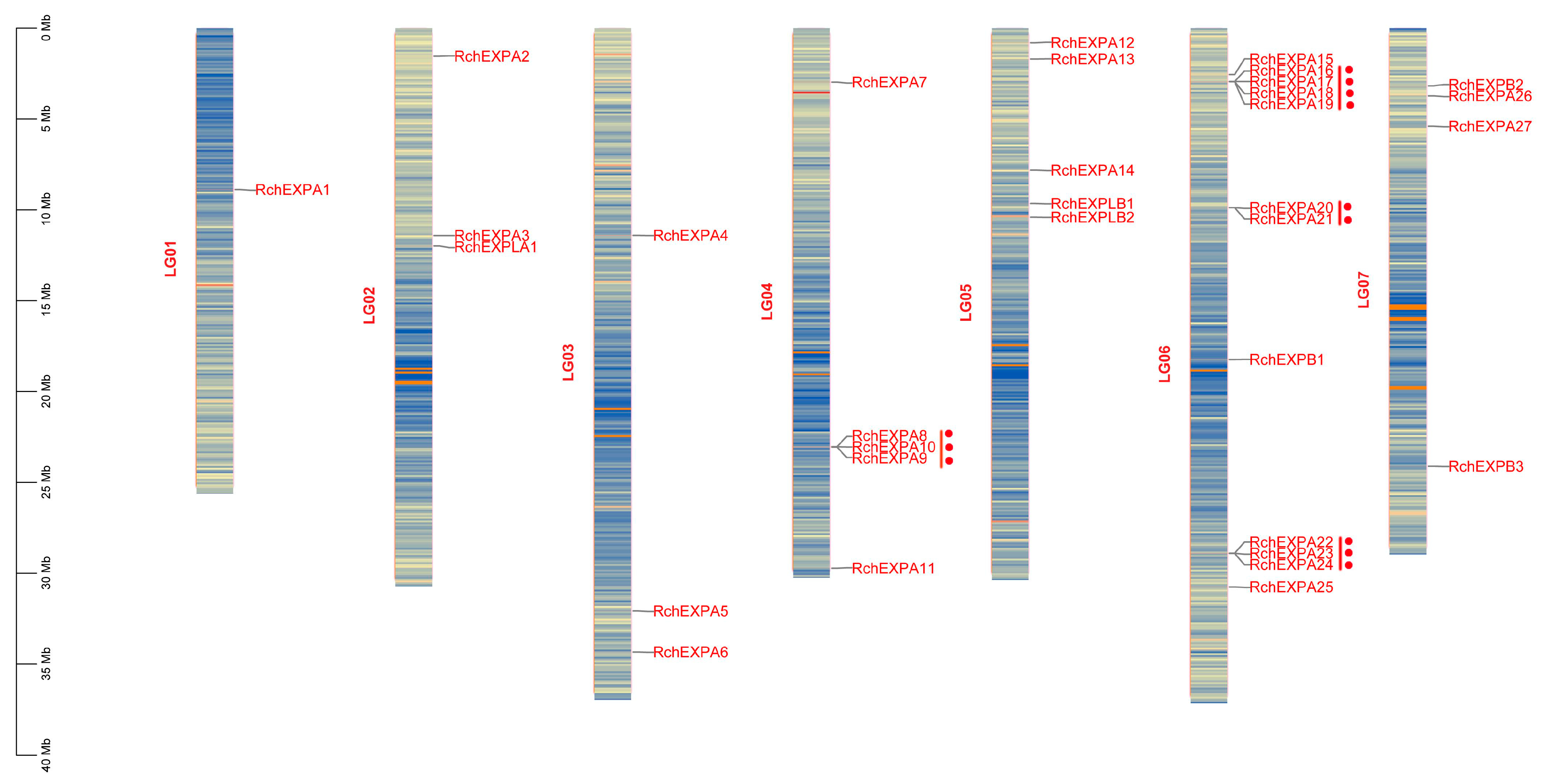 Plants 13 00431 g003