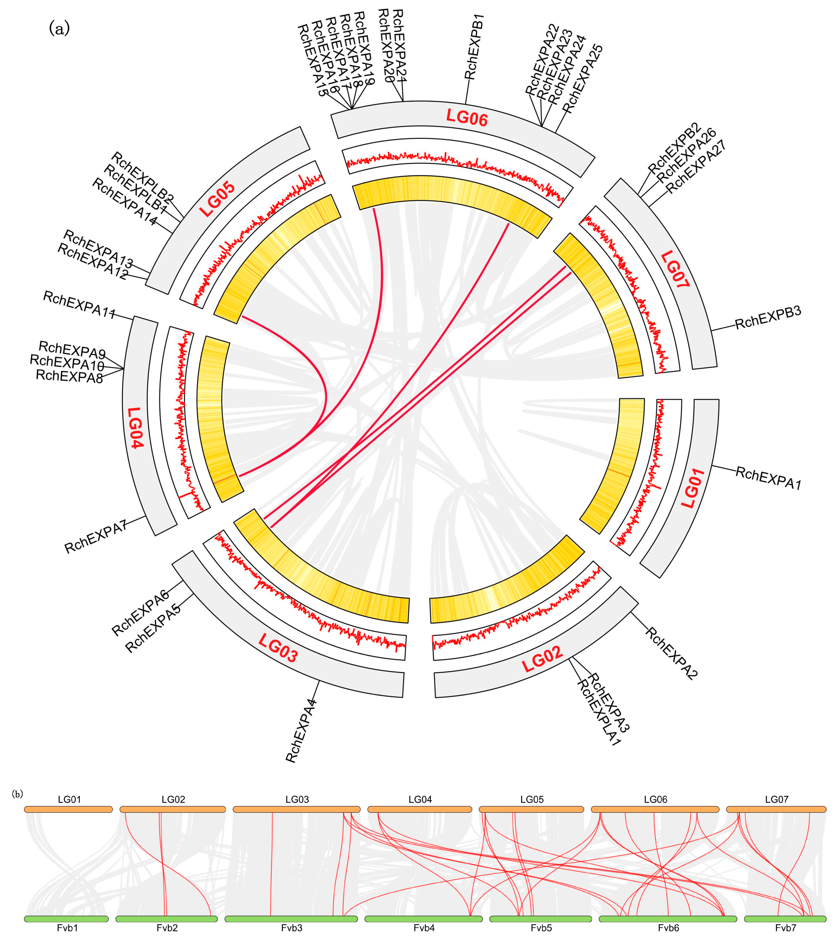 Plants 13 00431 g004