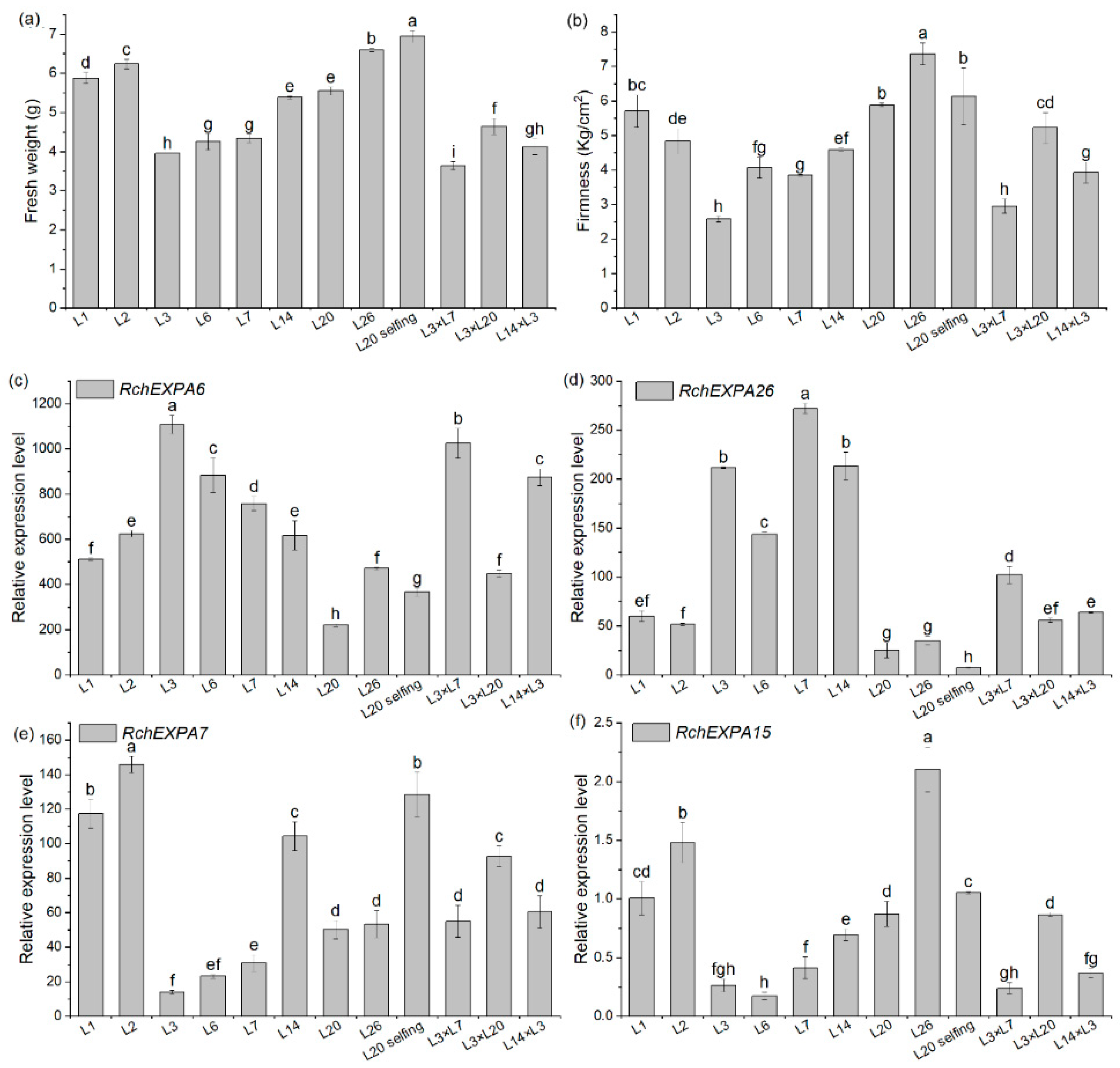 Plants 13 00431 g007a