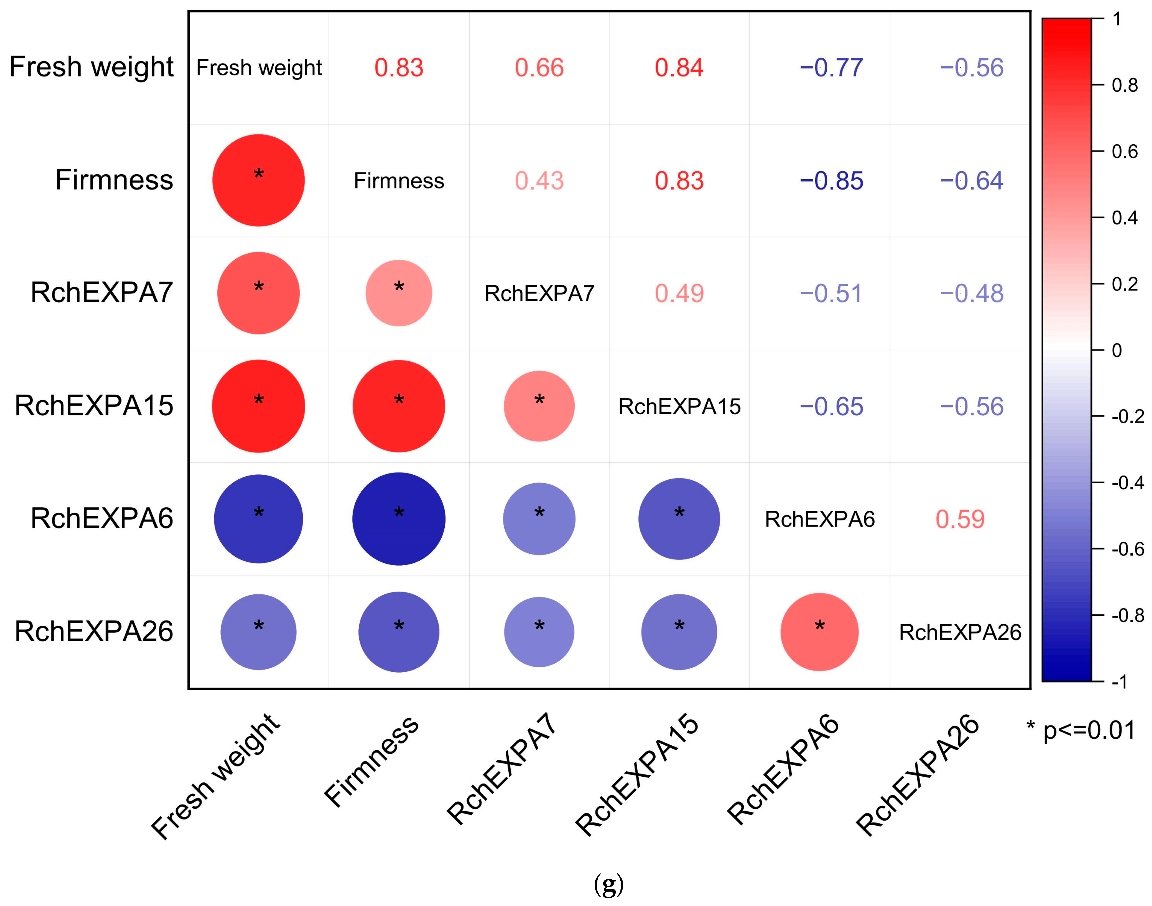 Plants 13 00431 g007b