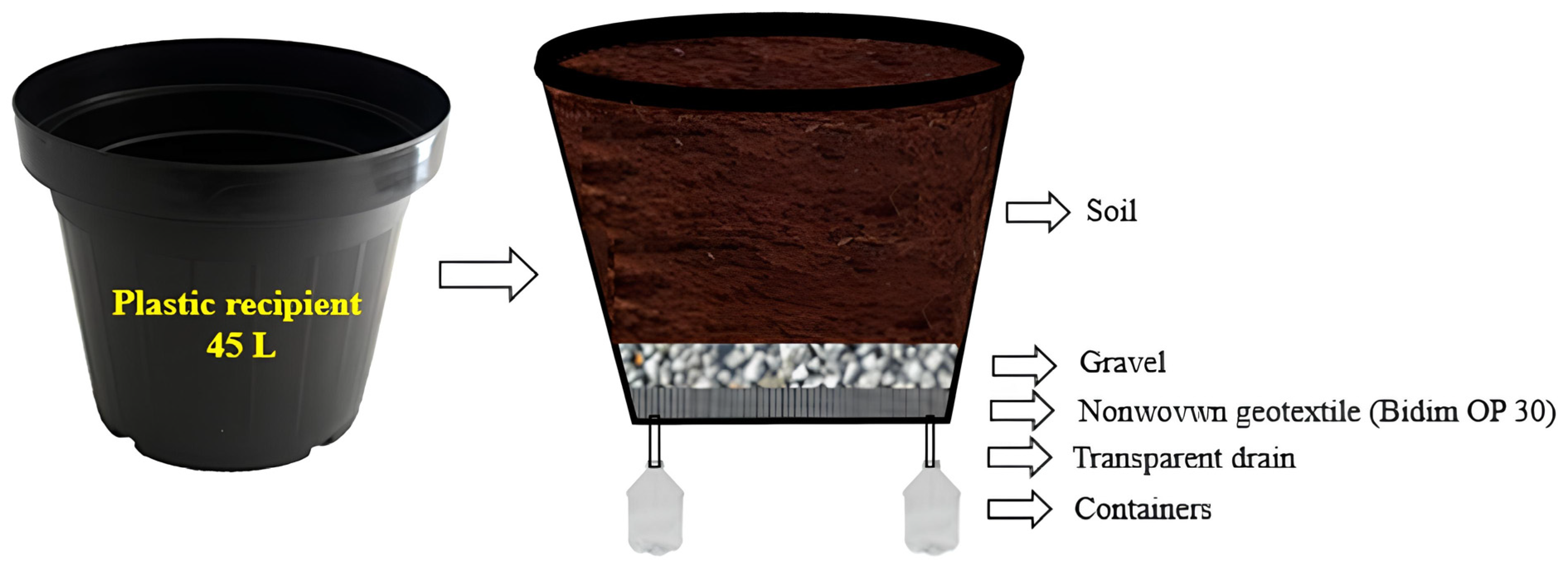 Plants 13 00434 g007