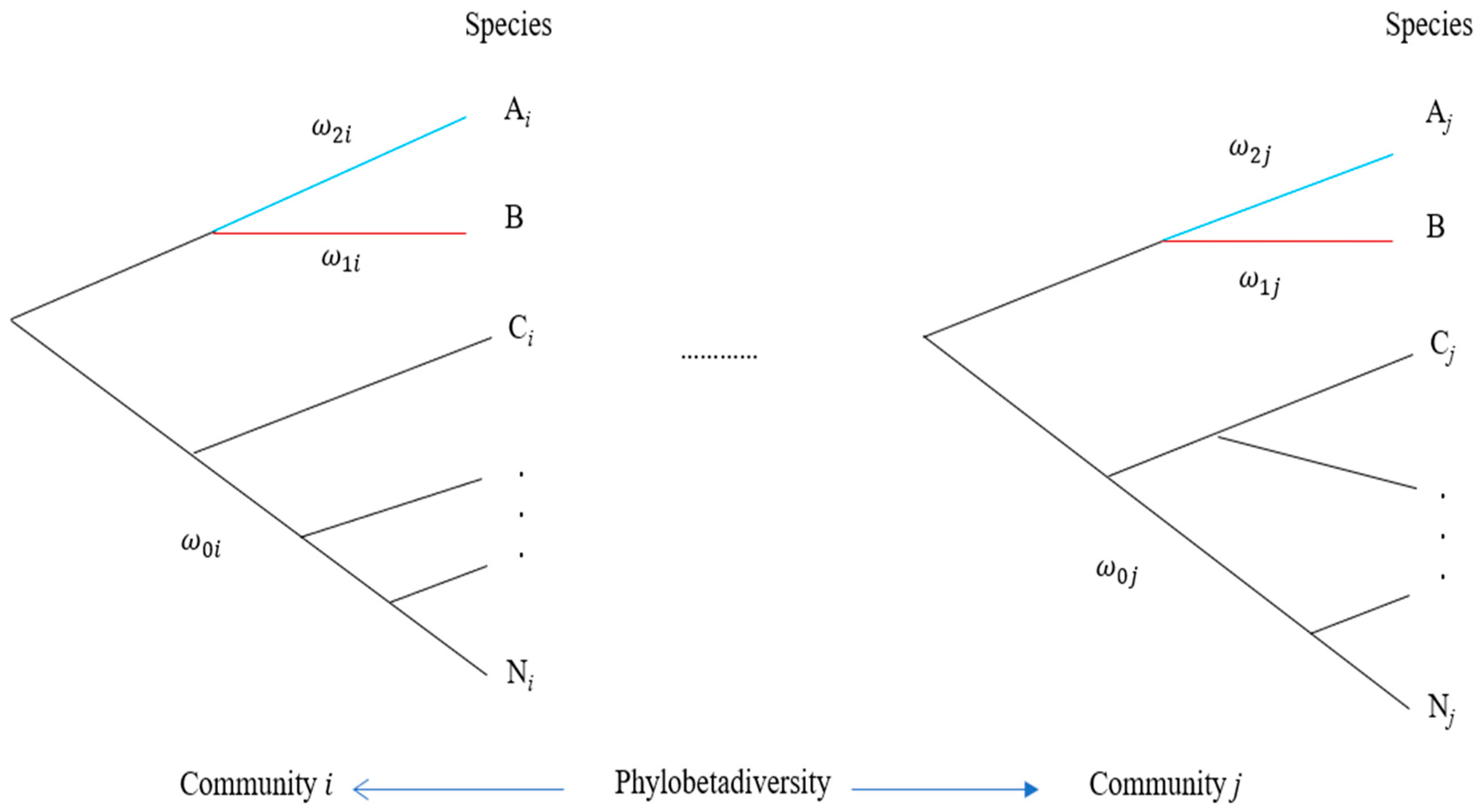 Plants 13 00435 g002 Plants 13 00435 g002