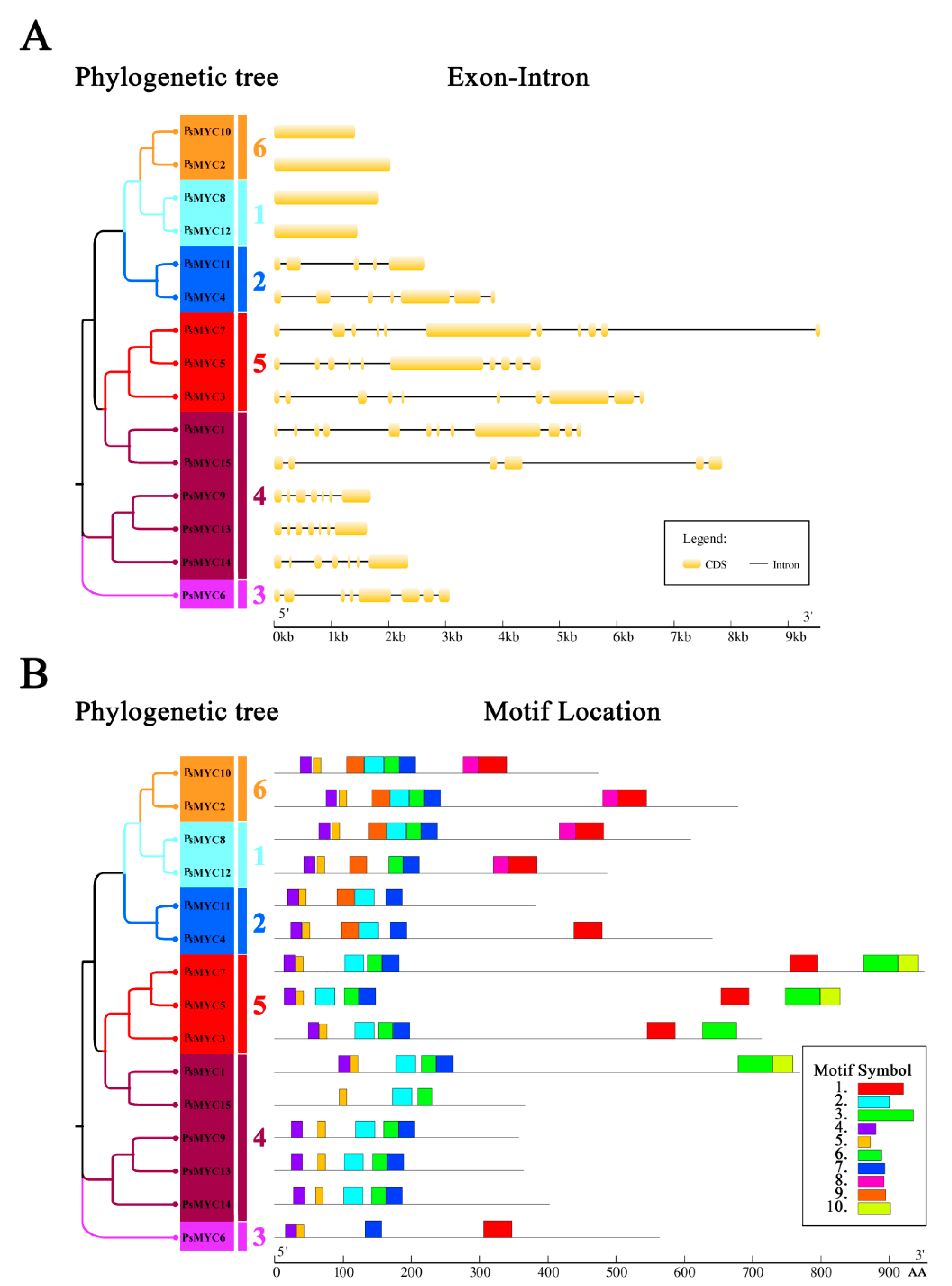 Plants 13 00437 g002