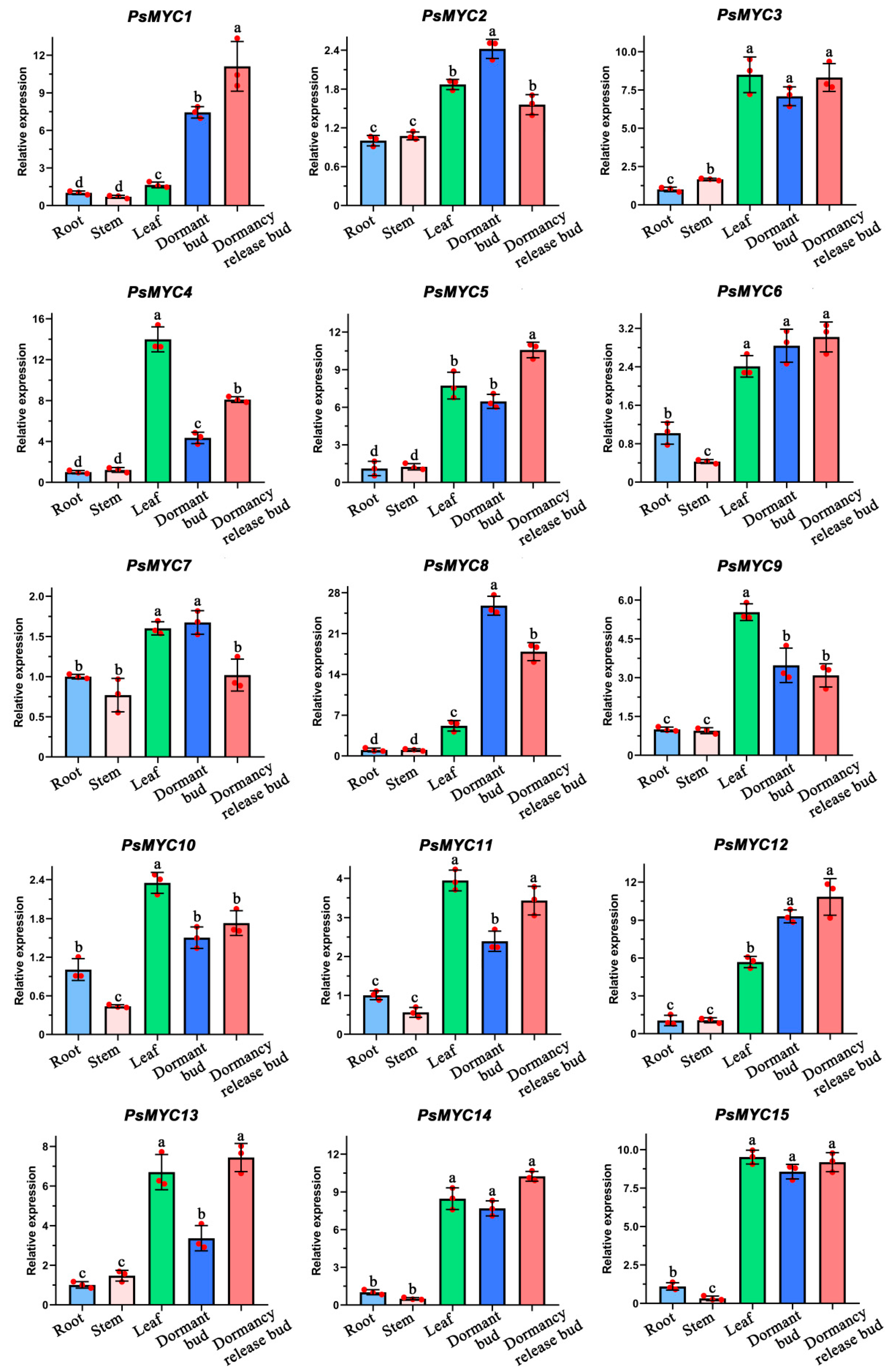 Plants 13 00437 g004