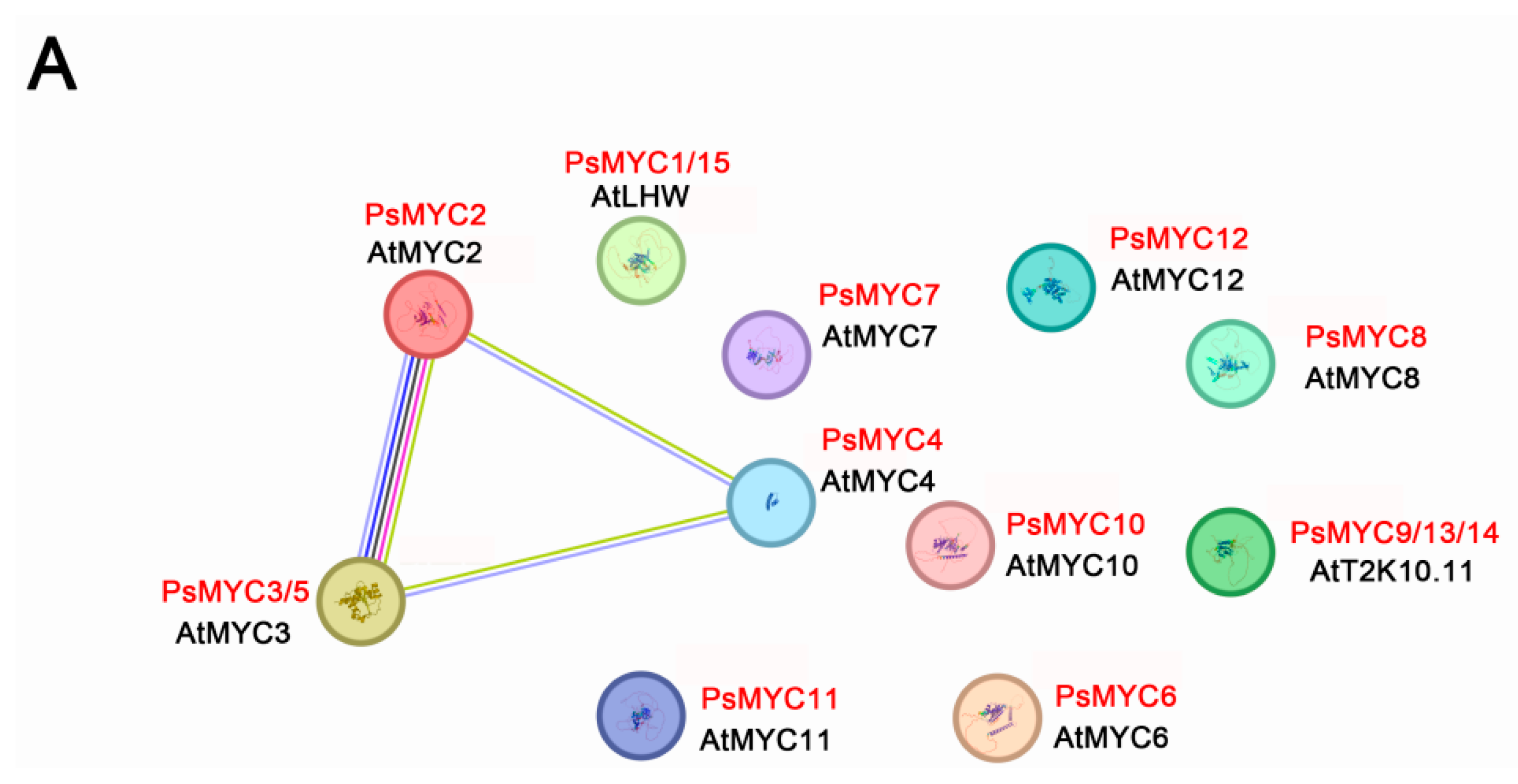 Plants 13 00437 g008a