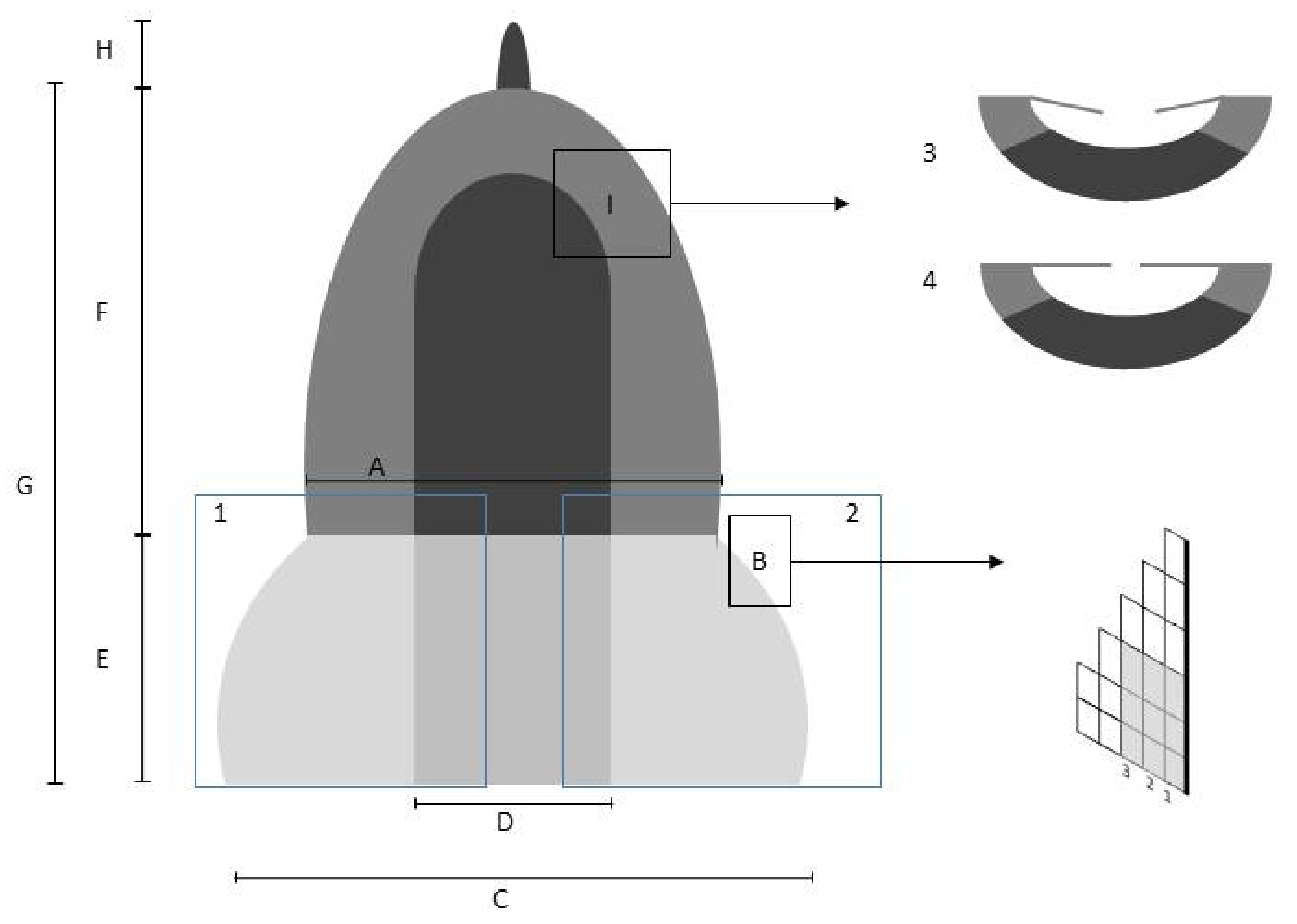 Plants 13 00445 g002