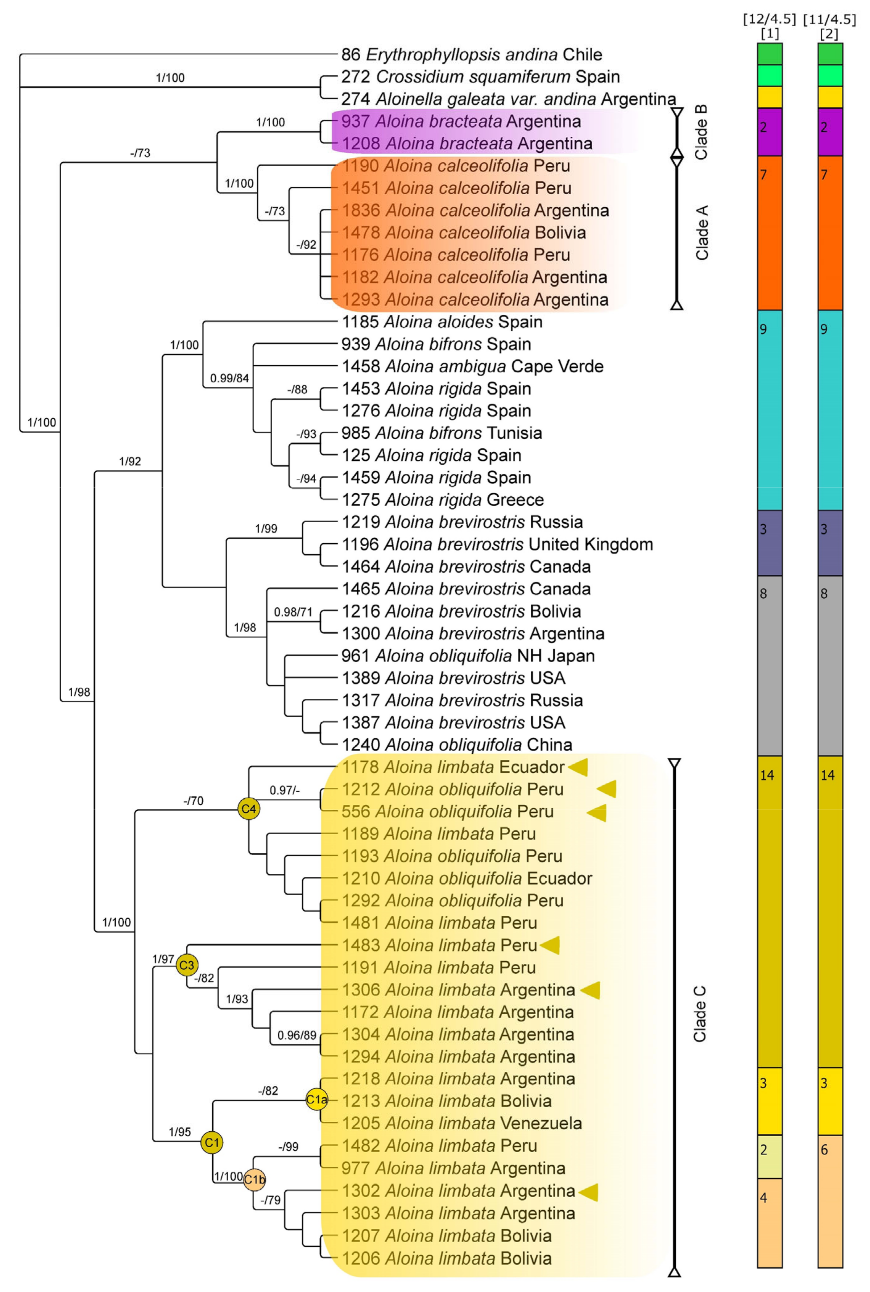 Plants 13 00445 g004