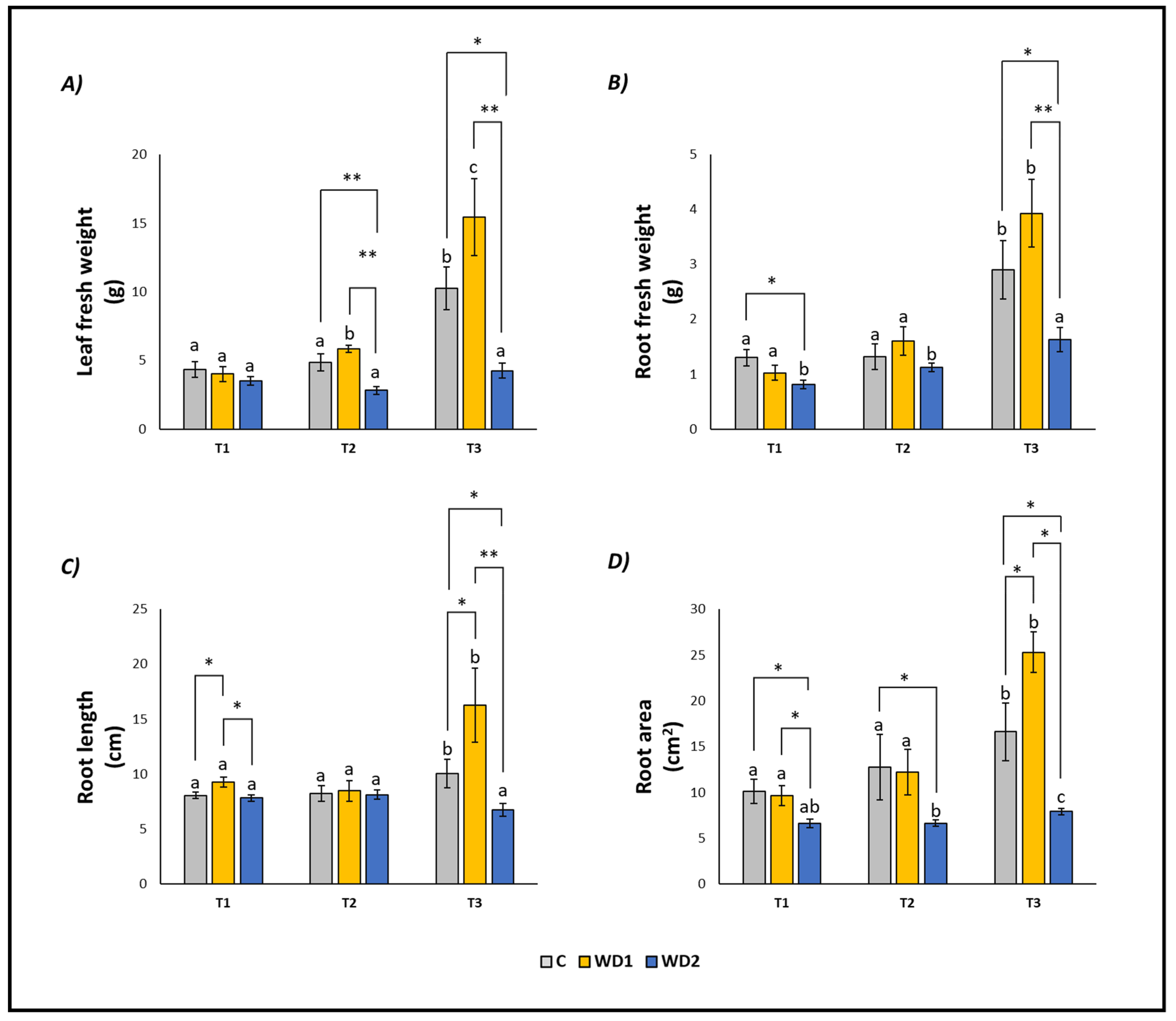 Plants 13 00447 g001